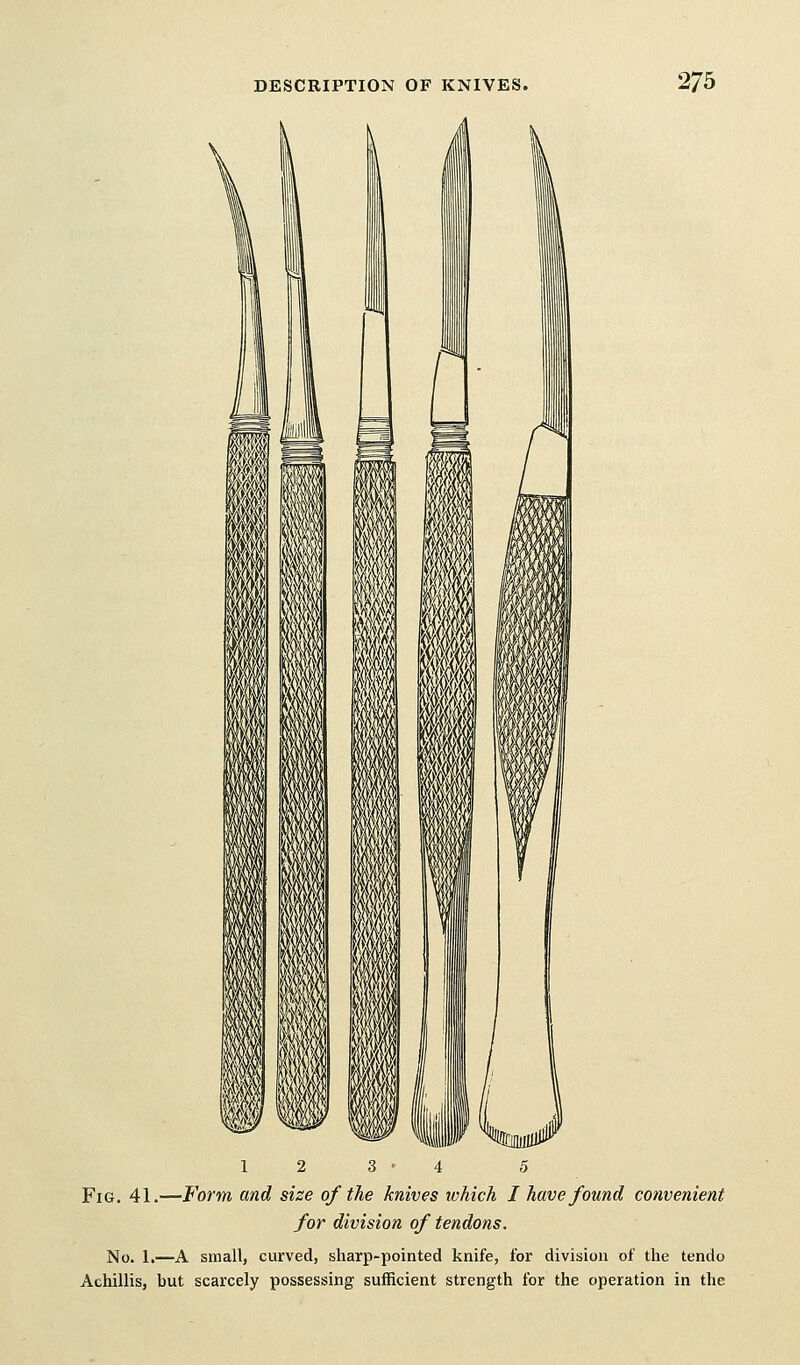 Fig. 41.—Form and size of the knives which I have found convenient for division of tendons. No. 1,—A small, curved, sharp-pointed knife, for division of the tendo Achillis, but scarcely possessing sufficient strength for the operation in the