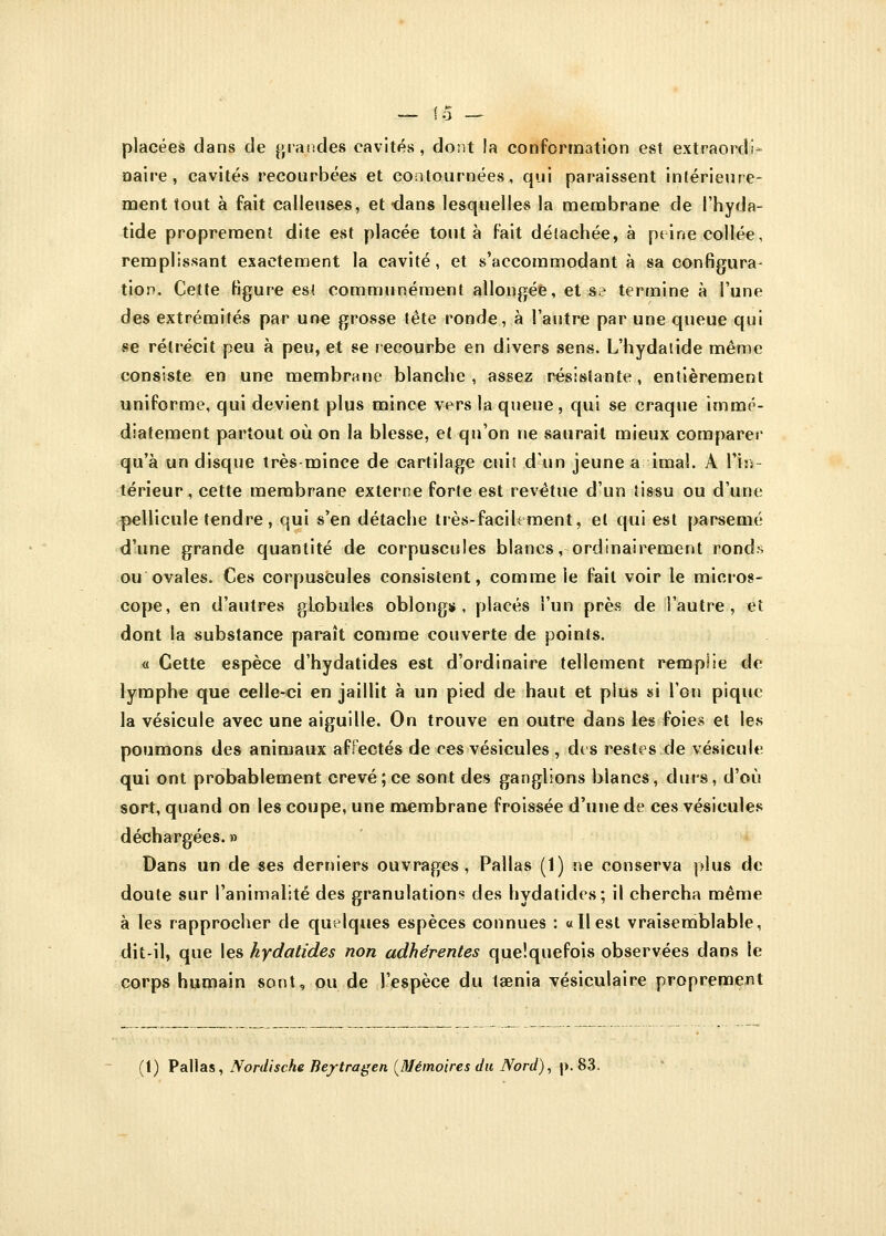 placées dans de grandes cavités, dont la conformation est extraordi- naire, cavités recourbées et contournées, qui paraissent intérieure- ment tout à fait calleuses, et -dans lesquelles la membrane de l'hyda- tide proprement dite est placée tout à fait détachée, à peine collée, remplissant exactement la cavité, et «'accommodant à sa configura- tion. Cette figure est communément allongée, et se termine à l'une des extrémités par une grosse tête ronde, à l'autre par une queue qui se rétrécit peu à peu, et se recourbe en divers sens. L'hydatide même consiste en une membrane blanche, assez résistante, entièrement uniforme, qui devient plus mince vers la queue, qui se craque immé- diatement partout où on la blesse, et qu'on ne saurait mieux comparer qu'à un disque très-mince de cartilage cuit d'un jeune a imal. A l'in- térieur, cette membrane externe forte est revêtue d'un tissu ou d'une pellicule tendre, qui s'en détache très-facilement, el qui est parsemé d'une grande quantité de corpuscules blancs, ordinairement ronds ou ovales. Ces corpuscules consistent, comme le fait voir le micros- cope, en d'autres globules oblong» , placés l'un près de l'autre, et dont la substance paraît comme couverte de points. « Cette espèce d'hydatides est d'ordinaire tellement remplie de lymphe que celle-ci en jaillit à un pied de haut et plus si l'on pique la vésicule avec une aiguille. On trouve en outre dans les foies et les poumons des animaux affectés de ces vésicules , des restes de vésicule qui ont probablement crevé; ce sont des ganglions blancs, durs, d'où sort, quand on les coupe, une membrane froissée d'une de ces vésicules déchargées. » Dans un de ses derniers ouvrages, Pallas (1) ne conserva plus de doute sur l'animalité des granulations des hydaticles; il chercha même à les rapprocher de quelques espèces connues : «11 est vraisemblable, dit-il, que les hydatides non adhérentes quelquefois observées dans le corps humain sont, ou de l'espèce du taenia vésiculaire proprement