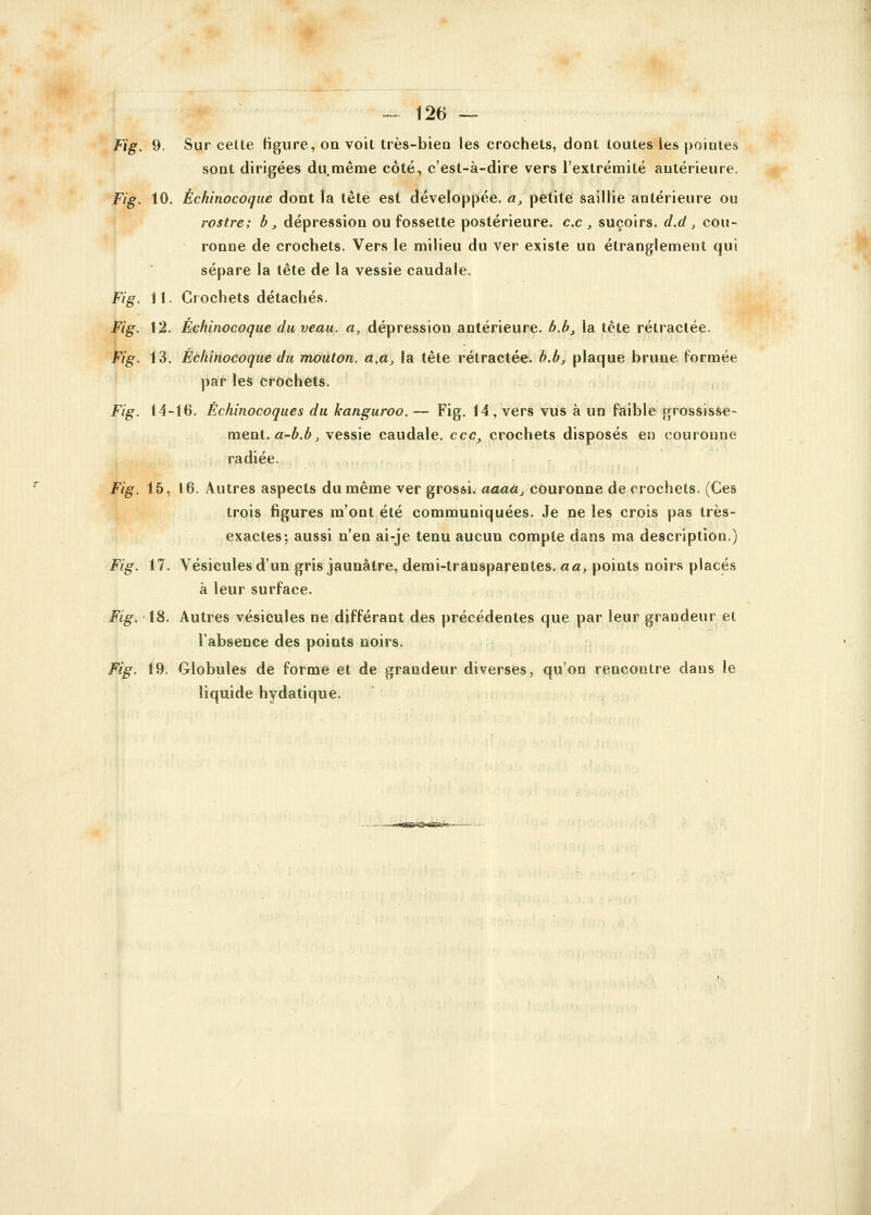 Fig. 9. Sur celte figure, on voit très-bien les crochets, dont toutes les pointes sont dirigées du.même côté, c'est-à-dire vers l'extrémité antérieure. Fig. 10. Échinocoque dont la tête est développée, a, petite saillie antérieure ou rostre; b, dépression ou fossette postérieure, ce , suçoirs, d.d, cou- ronne de crochets. Vers le milieu du ver existe un étranglement qui sépare la tête de la vessie caudale. Fig. 11. Crochets détachés. Fig. 12. Échinocoque du veau, a, dépression antérieure, b.b, la tête rétractée. Fig. 13. Échinocoque du mouton, à.a, la tête rétractée, b.b, plaque brune formée par les crochets. Fig. 14-16. Échinocoques du kanguroo. — Fig. 14, vers vus à un faible grossisse- ment, a-b.b, vessie caudale, ecc, crochets disposés en couronne radiée. Fig. 15, 16. Autres aspects du même ver grossi. aaaaJ couronne de crochets. (Ces trois figures m'ont été communiquées. Je ne les crois pas très- exactes; aussi n'en ai-je tenu aucun compte dans ma description.) Fig. 17. Vésicules d'un gris jaunâtre, demi-transparentes, aa, points noirs placés à leur surface. Fig. 18. Autres vésicules ne différant des précédentes que par leur grandeur et l'absence des points noirs. Fig. 19. Globules de forme et de grandeur diverses, qu'on rencontre dans le liquide hydatique.