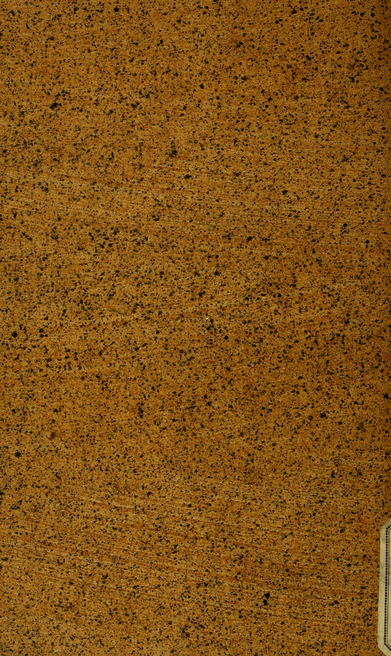 :<* ? ;^>.>^;.--v :>.,.< ■i*....' £«/'■■•.*.':' 'U-„rT;'^-'--^ * ■•• .■>■,:'■■,■?..>•- 'i?».i*,*-*> ■:r-X: •v,v»>>^'..'■'-•;;■-■ >:';■**•>'• '-.'•:•-.■ -'•>..r:v-.^''* '.:;.:-'^:■•* >*•'-' ^. i T*V C-:''';'-^*'VV*-.>\* i.« •* ,-*.: :.•.*. -^ | V'.<>- y