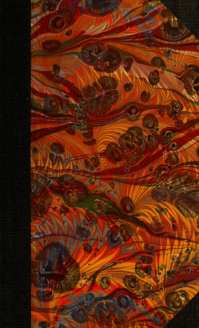 No text description is available for this image