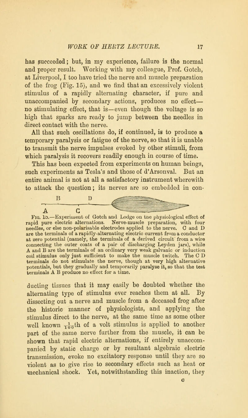 has succeeded; but, in my experience, failure is the normal and proper result. Working with my colleague, Prof. Gotch, at Liverpool, I too have tried the nerve and muscle preparation of the frog (Fig. 15), and we find that an excessively violent stimulus of a rapidly alternating character, if pure and unaccompanied by secondary actions, produces no effect— no stimulating effect, that is—even though the voltage is so high that sparks are ready to jump between the needles in direct contact with the nerve. All that such oscillations do, if continued, is to produce a cemporary paralysis or fatigue of the nerve, so that it is unable to transmit the nerve impulses evoked by other stimuli, from which paralysis it recovers readily enough in course of time. This has been expected from experiments on human beings, such experiments as Tesla's and those of d'Arsonval. But an entire animal is not at all a satisfactory instrument wherewith to attack the question; its nerves are so embedded in con- B D Fia. It).—Experiment of Gotch and Lodge on tne physiological effect of rapid pure electric alternations. Nerve-muscle preparation, with four needles, or else non-polarisable electrodes applied to the nerve. C and D are the terminals of a rapidly-alternating electric current from a conductor at zero potential (namely, the terminals of a derived circuit from a wire connecting the outer coats of a pair of discharging Ley den jars), while A and B are the terminals of an ordinary very weak galvanic Or induction coil stimulus only just sufficient to make the muscle twitch. The C D terminals do not stimulate the nerve, though at very high alternative potentials, but they gradually and temporarily paralyse it, so that the test terminals A B produce no effect for a time. ducting tissues that it may easily be doubted whether the alternating type of stimulus ever reaches them at all. By dissecting out a nerve and muscle from a deceased frog after the historic manner of physiologists, and applying the stimulus direct to the nerve, at the same time as some other well known yj^th of a volt stimulus is applied to another part of the same nerve further from the muscle, it can be shown that rapid electric alternations, if entirely unaccom- panied by static charge or by resultant algebraic electric transmission, evoke no excitatory response until they are so violent as to give rise to secondary effects such as heat or mechanical shock. Yet, notwithstanding this inaction, they