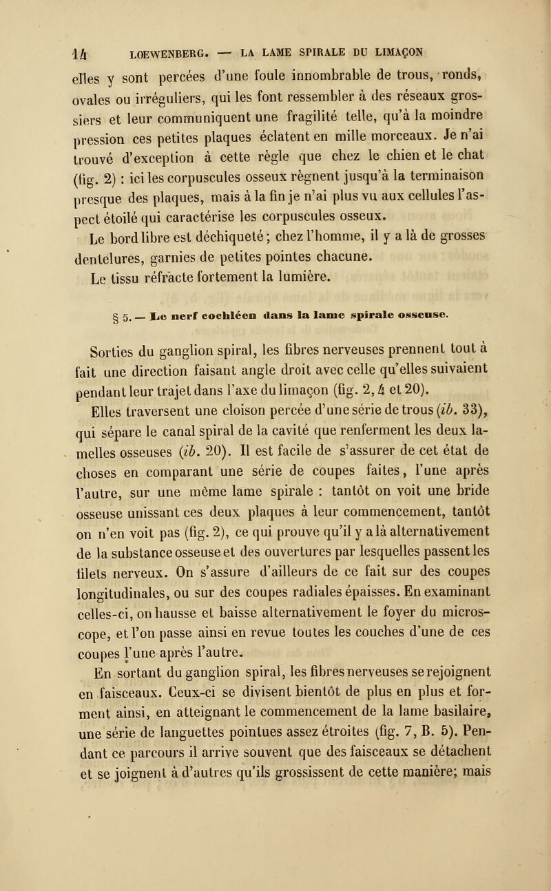 elles y sont percées d'une foule innombrable de trous, ronds, ovales ou irréguliers, qui les font ressembler à des réseaux gros- siers et leur communiquent une fragilité telle, qu'à la moindre pression ces petites plaques éclatent en mille morceaux. Je n'ai trouvé d'exception à cette règle que chez le chien et le chat (fig. 2) : ici les corpuscules osseux régnent jusqu'à la terminaison presque des plaques, mais à la fin je n'ai plus vu aux cellules l'as- pect étoile qui caractérise les corpuscules osseux. Le bord libre est déchiqueté; chez l'homme, il y a là de grosses dentelures, garnies de petites pointes chacune. Le tissu réfracte fortement la lumière. S 5. lie nerf cochléen dans la lame spirale osseuse. Sorties du ganglion spiral, les fibres nerveuses prennent tout à fait une direction faisant angle droit avec celle qu'elles suivaient pendant leur trajet dans Taxe du limaçon (fig. 2, à et 20). Elles traversent une cloison percée d'une série de trous (eô. 33), qui sépare le canal spiral de la cavité que renferment les deux la- melles osseuses (ib. 20). Il est facile de s'assurer de cet état de choses en comparant une série de coupes faites, l'une après l'autre, sur une même lame spirale : tantôt on voit une bride osseuse unissant ces deux plaques à leur commencement, tantôt on n'en voit pas (fig. 2), ce qui prouve qu'il y a là alternativement de la substance osseuse et des ouvertures par lesquelles passent les filets nerveux. On s'assure d'ailleurs de ce fait sur des coupes longitudinales, ou sur des coupes radiales épaisses. En examinant celles-ci, on hausse et baisse alternativement le foyer du micros- cope, et l'on passe ainsi en revue toutes les couches d'une de ces coupes l'une après l'autre. En sortant du ganglion spiral, les fibres nerveuses se rejoignent en faisceaux. Ceux-ci se divisent bientôt de plus en plus et for- ment ainsi, en atteignant le commencement de la lame basilaire, une série de languettes pointues assez étroites (fig. 7, B. 5). Pen- dant ce parcours il arrive souvent que des faisceaux se détachent et se joignent à d'autres qu'ils grossissent de cette manière; mais