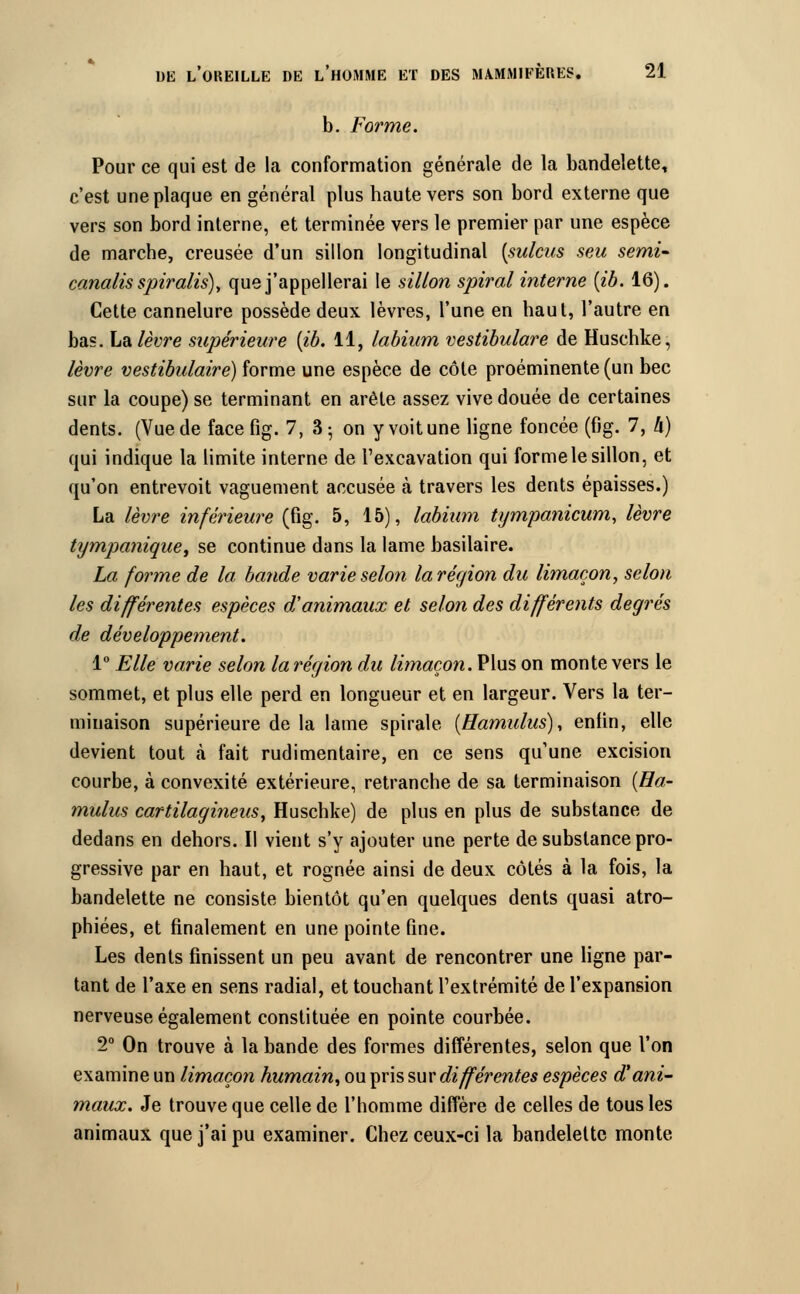 b. Forme. Pour ce qui est de la conformation générale de la bandelette, c'est une plaque en général plus haute vers son bord externe que vers son bord interne, et terminée vers le premier par une espèce de marche, creusée d'un sillon longitudinal [sulcus seu semi- canalis spiralis), que j'appellerai le sillon spiral interne {ib. 16). Cette cannelure possède deux lèvres, l'une en haut, l'autre en bas. La lèvre supérieure (ib. 11, labium vestibulare de Huschke, lèvre vestibulaire) forme une espèce de côte proéminente (un bec sur la coupe) se terminant en arête assez vive douée de certaines dents. (Vue de face fig. 7, 3 • on y voit une ligne foncée (fig. 7, h) qui indique la limite interne de l'excavation qui forme le sillon, et qu'on entrevoit vaguement accusée à travers les dents épaisses.) La lèvre inférieure (fig. 5, 15), labium tympanicum, lèvre tympanique, se continue dans la lame basilaire. La forme de la bande varie selon la région du limaçon, selon les différentes espèces d'animaux et selon des différents degrés de développement. 1° Elle varie selon la région du limaçon. Plus on monte vers le sommet, et plus elle perd en longueur et en largeur. Vers la ter- minaison supérieure de la lame spirale (Hamulus), enlin, elle devient tout à fait rudimentaire, en ce sens qu'une excision courbe, à convexité extérieure, retranche de sa terminaison (Ha- mulus cartilagmeus, Huschke) de plus en plus de substance de dedans en dehors. Il vient s'y ajouter une perte de substance pro- gressive par en haut, et rognée ainsi de deux côtés à la fois, la bandelette ne consiste bientôt qu'en quelques dents quasi atro- phiées, et finalement en une pointe fine. Les dents finissent un peu avant de rencontrer une ligne par- tant de l'axe en sens radial, et touchant l'extrémité de l'expansion nerveuse également constituée en pointe courbée. 2° On trouve à la bande des formes différentes, selon que l'on examine un limaçon humain, ou pris sur différentes espèces d'ani- maux. Je trouve que celle de l'homme diffère de celles de tous les animaux que j'ai pu examiner. Chez ceux-ci la bandelette monte