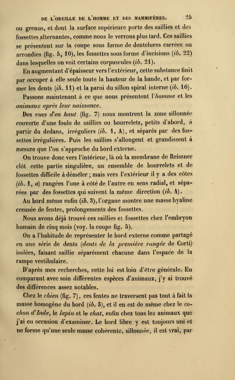 ou grenus, et dont la surface supérieure porte des saillies et des fossettes alternantes, comme nous le verrons plus tard, ('es saillies se présentent sur la coupe sous forme de dentelures carrées ou arrondies (fig. 5, 40), les fossettes sous forme d'incisions (ib. 22) dans lesquelles on voit certains corpuscules (ib. 21). En augmentant d'épaisseur vers l'extérieur, celte substance finit par occuper à elle seule toute la hauteur de la bande, et par for- mer les dents (ib. 11) et la paroi du sillon spiral interne (ib. 16). Passons maintenant ta ce que nous présentent Vhomme et les animaux après leur naissance. Des vues d'en haut (fig. 7) nous montrent la zone sillonnée couverte d'une foule de saillies ou bourrelets, petits d'abord, à partir du dedans, irréguliers {ib. 1, A), et séparés par des fos- settes irrégulières. Puis les saillies s'allongent et grandissent à mesure que Ton s'approche du bord externe. On trouve donc vers l'intérieur, là où la membrane de Reissner clôt cette partie singulière, un ensemble de bourrelets et de fossettes difficile à démêler ; mais vers l'extérieur il y a des côtes (ib. 1, a) rangées l'une à côté de l'autre en sens radial, et sépa- rées par des fossettes qui suivent la même direction (ib. l\). Au bord même enfin (ib. 3), l'organe montre une masse hyaline creusée de fentes, prolongements des fossettes. Nous avons déjà trouvé ces saillies et fossettes chez l'embryon humain de cinq mois (voy. la coupe fig. 5). On a l'habitude de représenter le bord externe comme partagé en une série de dents (dents de la première rangée de Corti) isolées, faisant saillie séparément chacune dans l'espace de la rampe vestibulaire. D'après mes recherches, cette loi est loin d'être générale. En comparant avec soin différentes espèces d'animaux, j'y ai trouvé des différences assez notables. Chez le chien (fig. 7), ces fentes ne traversent pas tout à fait la masse homogène du bord (ib. 3), et il en est de même chez le co- chon d'Inde, le lapin et le chat, enfin chez tous les animaux que j'ai eu occasion d'examiner. Le bord libre y est toujours uni et ne forme qu'une seule masse cohérente, sillonnée, il est vrai, par