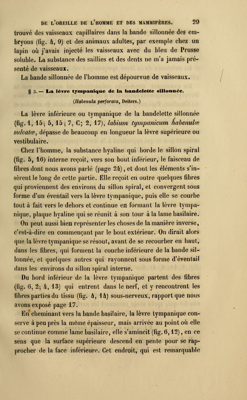 trouvé des vaisseaux capillaires dans la bande sillonnée des em- bryons (fig. k, 9) et des animaux adultes, par exemple chez un lapin où j'avais injecté les vaisseaux avec du bleu de Prusse soluble. La substance des saillies et des dents ne m'a jamais pré- senté de vaisseaux. La bande sillonnée de l'homme est dépourvue de vaisseaux. § 3. — lia lèvre tympanique de la bandelette sillonnée. (Habenula perforata, Deiters.) La lèvre inférieure ou tympanique de la bandelette sillonnée (fig. 1, 15; 5, 15 5 7, G; 2, 17), labium tympanicum nabenulœ sulcatœ, dépasse de beaucoup en longueur la lèvre supérieure ou vestibulaire. Chez l'homme, la substance hyaline qui borde le sillon spiral (fig. 5, 16) interne reçoit, vers son bout inférieur, le faisceau de fibres dont nous avons parlé (page 2/j), et dont les éléments s'in- sèrent le long de cette partie. Elle reçoit en outre quelques fibres qui proviennent des environs du sillon spiral, et convergent sous forme d'un éventail vers la lèvre tympanique, puis elle se courbe tout à fait vers le dehors et continue en formant la lèvre tympa- nique, plaque hyaline qui se réunit à son tour à la lamebasilaire. On peut aussi bien représenter les choses de la manière inverse, c'est-à-dire en commençant par le bout extérieur. On dirait alors que la lèvre tympanique se résout, avant de se recourber en haut, dans les fibres, qui forment la couche inférieure de la bande sil- lonnée, et quelques autres qui rayonnent sous forme d'éventail dans les environs du sillon spiral interne. Du bord inférieur de la lèvre tympanique partent des fibres (fig. ô, 2; h, 13) qui entrent dans le nerf, et y rencontrent les fibres parties du tissu (fig. h, \h) sous-nerveux, rapport que nous avons exposé page 17. En cheminant vers la bande basilaire, la lèvre tympanique con- serve à peu près la même épaisseur, mais arrivée au point où elle se continue comme lame basilaire, elle s'amincit (fig. 6,12), en ce sens que la surface supérieure descend en pente pour se rap- procher de la face inférieure. Cet endroit, qui est remarquable