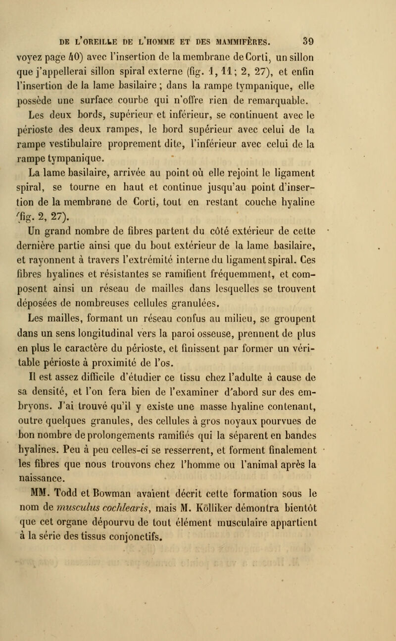 voyez page hO) avec l'insertion de la membrane deCorti, un sillon que j'appellerai sillon spiral externe (fig. 1,11; 2, 27), et enfin l'insertion de la lame basilaire ; dans la rampe tympanique, elle possède une surface courbe qui n'offre rien de remarquable. Les deux bords, supérieur et inférieur, se continuent avec le périoste des deux rampes, le bord supérieur avec celui de la rampe vestibulaire proprement dite, l'inférieur avec celui de la rampe tympanique. La lame basilaire, arrivée au point où elle rejoint le ligament spiral, se tourne en haut et continue jusqu'au point d'inser- tion de la membrane de Corti, tout en restant couche hyaline Tig. 2, 27). Un grand nombre de fibres partent du côté extérieur de cette dernière partie ainsi que du bout extérieur de la lame basilaire, et rayonnent à travers l'extrémité interne du ligament spiral. Ces fibres hyalines et résistantes se ramifient fréquemment, et com- posent ainsi un réseau de mailles dans lesquelles se trouvent déposées de nombreuses cellules granulées. Les mailles, formant un réseau confus au milieu, se groupent dans un sens longitudinal vers la paroi osseuse, prennent de plus en plus le caractère du périoste, et finissent par former un véri- table périoste à proximité de l'os. Il est assez difficile d'étudier ce tissu chez l'adulte à cause de sa densité, et l'on fera bien de l'examiner d'abord sur des em- bryons. J'ai trouvé qu'il y existe une masse hyaline contenant, outre quelques granules, des cellules à gros noyaux pourvues de bon nombre de prolongements ramifiés qui la séparent en bandes hyalines. Peu à peu celles-ci se resserrent, et forment finalement les fibres que nous trouvons chez l'homme ou l'animal après la naissance. MM. Todd et Bowman avaient décrit celte formation sous le nom de muscuhis cochlearis, mais M. Kôlliker démontra bientôt que cet organe dépourvu de tout élément musculaire appartient à la série des tissus conjonctifs.