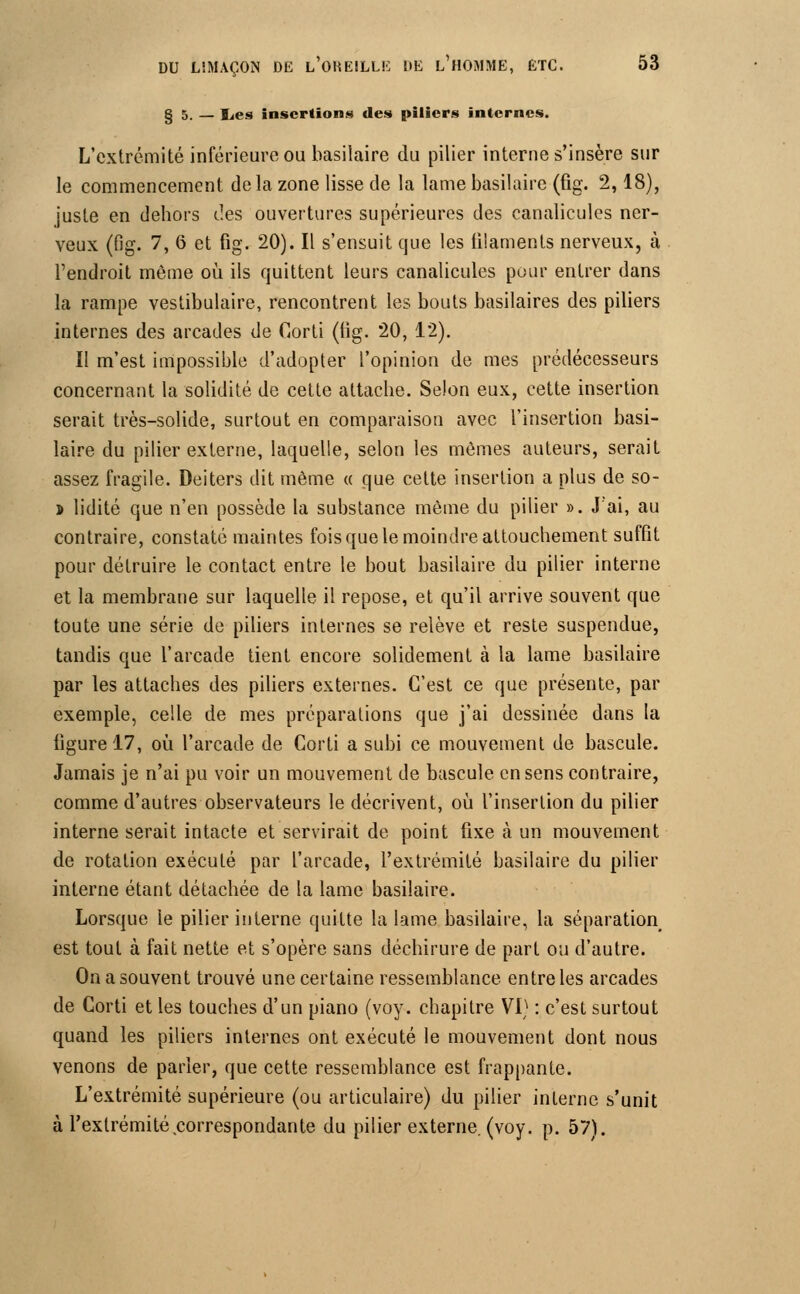 § 5. — lies insertions des piliers internes. L'extrémité inférieure ou basilaire du pilier interne s'insère sur le commencement delà zone lisse de la lame basilaire (fig. 2,18), juste en dehors des ouvertures supérieures des canalicules ner- veux (fig. 7, 6 et fig. 20). Il s'ensuit que les filaments nerveux, à l'endroit même où ils quittent leurs canalicules pour entrer dans la rampe vestibulaire, rencontrent les bouts basilaires des piliers internes des arcades de Corti (fig. 20, 12). Il m'est impossible d'adopter l'opinion de mes prédécesseurs concernant la solidité de cette attache. Selon eux, cette insertion serait très-solide, surtout en comparaison avec l'insertion basi- laire du pilier externe, laquelle, selon les mêmes auteurs, serait assez fragile. Deiters dit même « que cette insertion a plus de so- » lidité que n'en possède la substance même du pilier ». J'ai, au contraire, constaté maintes fois que le moindre attouchement suffit pour détruire le contact entre le bout basilaire du pilier interne et la membrane sur laquelle il repose, et qu'il arrive souvent que toute une série de piliers internes se relève et reste suspendue, tandis que l'arcade tient encore solidement à la lame basilaire par les attaches des piliers externes. C'est ce que présente, par exemple, celle de mes préparations que j'ai dessinée dans la ligure 17, où l'arcade de Corti a subi ce mouvement de bascule. Jamais je n'ai pu voir un mouvement de bascule en sens contraire, comme d'autres observateurs le décrivent, où l'insertion du pilier interne serait intacte et servirait de point fixe h un mouvement de rotation exécuté par l'arcade, l'extrémité basilaire du pilier interne étant détachée de la lame basilaire. Lorsque le pilier interne quitte la lame basilaire, la séparation est tout à fait nette et s'opère sans déchirure de part ou d'autre. On a souvent trouvé une certaine ressemblance entre les arcades de Corti et les touches d'un piano (voy. chapitre VI) : c'est surtout quand les piliers internes ont exécuté le mouvement dont nous venons de parler, que cette ressemblance est frappante. L'extrémité supérieure (ou articulaire) du pilier interne s'unit à l'extrémité correspondante du pilier externe, (voy. p. 57).