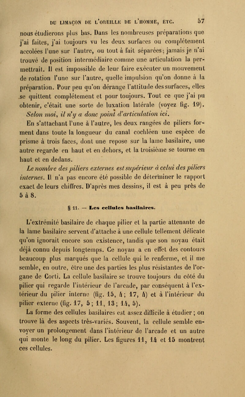 nous étudierons plus bas. Dans les nombreuses préparations que j'ai faites, j'ai toujours vu les deux surfaces ou complètement accolées l'une sur l'autre, ou tout à fait séparées ; jamais je n'ai trouvé de position intermédiaire comme une articulation la per- mettrait. Il est impossible de leur faire exécuter un mouvement de rotation l'une sur l'autre, quelle impulsion qu'on donne à la préparation. Pour peu qu'on dérange l'attitude des surfaces, elles .se quittent complètement et pour toujours. Tout ce que j'ai pu obtenir, c'était une sorte de luxation latérale (voyez fîg. 19). Selon moi, il n'y a donc point d'articulation ici. En s'attachant l'une à l'autre, les deux rangées de piliers for- ment dans toute la longueur du canal cochléen une espèce de prisme à trois faces, dont une repose sur la lame basilaire, une autre regarde en haut et en dehors, et la troisième se tourne en haut et en dedans. Le nombre des piliers externes est supérieur à celui des piliers internes. Il n'a pas encore été possible de déterminer le rapport exact de leurs chiffres. D'après mes dessins, il est à peu près de 5 à 8. § 11. — lies cellules basilaircs. L'extrémité basilaire de chaque pilier et la partie attenante de la lame basilaire servent d'attache à une cellule tellement délicate qu'on ignorait encore son existence, tandis que son noyau était déjà connu depuis longtemps. Ce noyau a en effet des contours beaucoup plus marqués que la cellule qui le renferme, et il me semble, en outre, être une des parties les plus résistantes de l'or- gane de Corti. La cellule basilaire se trouve toujours du côté du pilier qui regarde l'intérieur de l'arcade, par conséquent à l'ex- térieur du pilier interne (fig. 15, h ; 17, h) et à l'intérieur du pilier externe (fîg. 17, 5; 11, 13; lZj, 5). La forme des cellules basilaires est assez difficile à étudier ; on trouve là des aspects très-variés. Souvent, la cellule semble en- voyer un prolongement dans l'intérieur de l'arcade et un autre qui monte le long du pilier. Les figures 11, 14 et 15 montrent ces cellules.