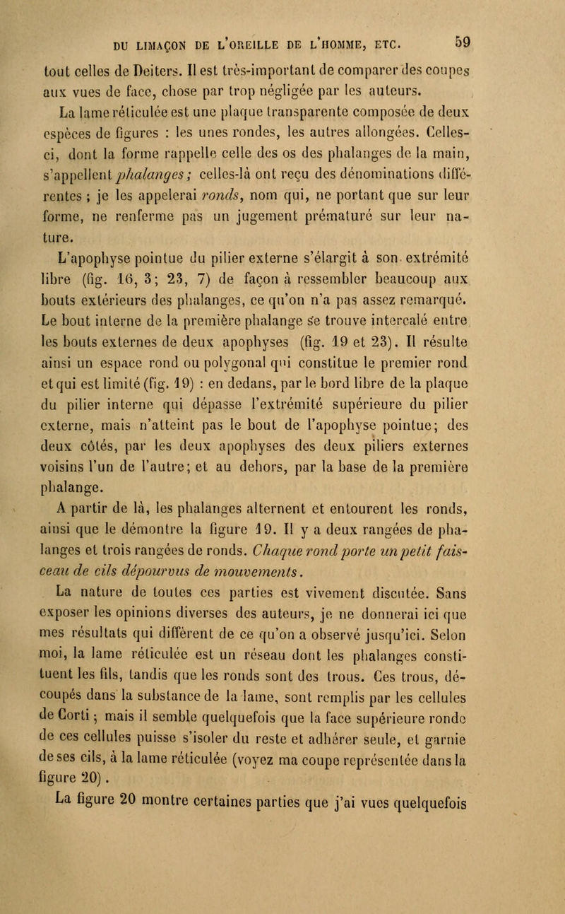 tout celles de Deiters. Il est très-important de comparer des coupes aux vues de face, chose par trop négligée par les auteurs. La lame réticulée est une plaque transparente composée de deux espèces de figures : les unes rondes, les autres allongées. Celles- ci, dont la forme rappelle celle des os des phalanges de la main, s'appellent phalanges; celles-là ont reçu des dénominations diffé- rentes ; je les appelerai ronds, nom qui, ne portant que sur leur forme, ne renferme pas un jugement prématuré sur leur na- ture. L'apophyse pointue du pilier externe s'élargit à son extrémité libre (fig. 16, 3; 23, 7) de façon à ressembler beaucoup aux bouts extérieurs des phalanges, ce qu'on n'a pas assez remarqué. Le bout interne de la première phalange se trouve intercalé entre les bouts externes de deux apophyses (fig. 19 et 23). Il résulte ainsi un espace rond ou polygonal qui constitue le premier rond et qui est limité (fig. 19) : en dedans, parle bord libre de la plaque du pilier interne qui dépasse l'extrémité supérieure du pilier externe, mais n'atteint pas le bout de l'apophyse pointue; des deux côtés, par les deux apophyses des deux piliers externes voisins l'un de l'autre; et au dehors, par la base de la première phalange. A partir de là, les phalanges alternent et entourent les ronds, ainsi que le démontre la figure 4 9. Il y a deux rangées de pha- langes et trois rangées de ronds. Chaque rond porte un petit fais- ceau de cils dépourvus de mouvements. La nature de toutes ces parties est vivement discutée. Sans exposer les opinions diverses des auteurs, je ne donnerai ici que mes résultats qui diffèrent de ce qu'on a observé jusqu'ici. Selon moi, la lame réticulée est un réseau dont les phalanges consti- tuent les fils, tandis que les ronds sont des trous. Ces trous, dé- coupés dans la substance de la lame, sont remplis par les cellules de Corti ; mais il semble quelquefois que la face supérieure ronde de ces cellules puisse s'isoler du reste et adhérer seule, et garnie de ses cils, à la lame réticulée (voyez ma coupe représentée dans la figure 20). La figure 20 montre certaines parties que j'ai vues quelquefois