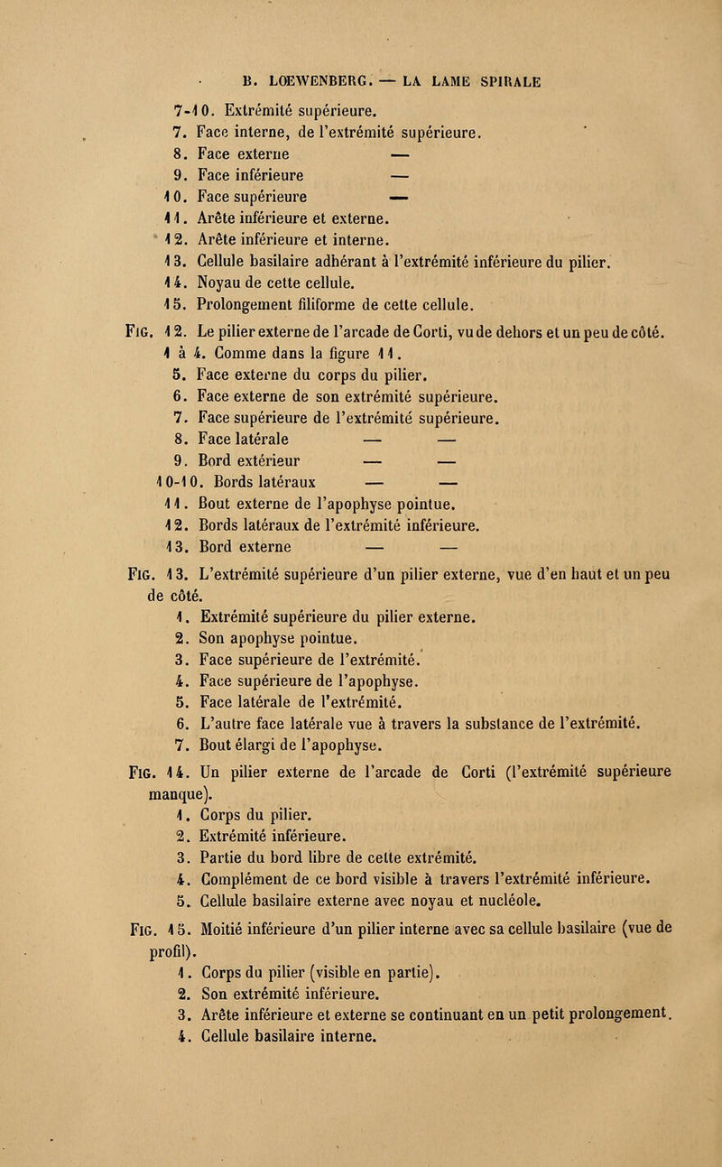7-10. Extrémité supérieure. 7. Face interne, de l'extrémité supérieure. 8. Face externe — 9. Face inférieure — 10. Face supérieure — 41. Arête inférieure et externe. 12. Arête inférieure et interne. 13. Cellule basilaire adhérant à l'extrémité inférieure du pilier. 14. Noyau de cette cellule. 15. Prolongement filiforme de cette cellule. FiG. 12. Le pilier externe de l'arcade de Corti, vu de dehors et un peu de côté. 1 à 4. Comme dans la figure 11. 5. Face externe du corps du pilier. 6. Face externe de son extrémité supérieure. 7. Face supérieure de l'extrémité supérieure. 8. Face latérale — — 9. Bord extérieur — — 10-10. Bords latéraux — — 11. Bout externe de l'apophyse pointue. 12. Bords latéraux de l'extrémité inférieure. 13. Bord externe — — FiG. 13. L'extrémité supérieure d'un pilier externe, vue d'en haut et un peu de côté. 1. Extrémité supérieure du pilier externe. 2. Son apophyse pointue. 3. Face supérieure de l'extrémité. 4. Face supérieure de l'apophyse. 5. Face latérale de l'extrémité. 6. L'autre face latérale vue à travers la substance de l'extrémité. 7. Bout élargi de l'apophyse. FiG. 14. Un pilier externe de l'arcade de Corti (l'extrémité supérieure manque). 1. Corps du pilier. 2. Extrémité inférieure. 3. Partie du bord libre de celte extrémité. 4. Complément de ce bord visible à travers l'extrémité inférieure. 5. Cellule basilaire externe avec noyau et nucléole. FiG. 4 5. Moitié inférieure d'un pilier interne avec sa cellule basilaire (vue de profil). 4. Corps du pilier (visible en partie). 2. Son extrémité inférieure. 3. Arête inférieure et externe se continuant en un petit prolongement. 4. Cellule basilaire interne.