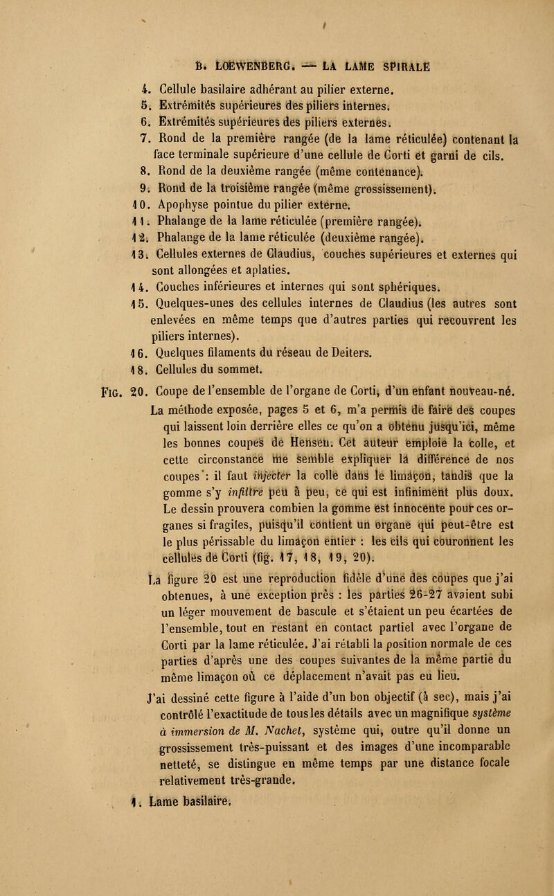 4. Cellule basilaire adhérant au pilier externe. 5. Extrémités supérieures des piliers internes. 6. Extrémités supérieures des piliers externes. 7. Rond de la première rangée (de la lame réticulée) contenant la face terminale supérieure d'une cellule de Corti et garni de cils. 8. Rond de la deuxième rangée (même contenance). 9. Rond de la troisième rangée (même grossissement). 4 0. Apophyse pointue du pilier externe. 41. Phalange de la lame réticulée (première rangée). 4 2. Phalange de la lame réticulée (deuxième rangée). 13; Cellules externes de Claudius, couches supérieures et externes qui sont allongées et aplaties. 4 4. Couches inférieures et internes qui sont sphériques. 4 5. Quelques-unes des cellules internes de Claudius (les autres sont enlevées en même temps que d'autres parties qui recouvrent les piliers internes). 4 6. Quelques filaments du réseau de Deiters. 4 8. Cellules du sommet. Fig. 20. Coupe de l'ensemble de l'organe de Corti, d'un enfant nouveau-né. La méthode exposée, pages 5 et 6, m'a permis de faire des coupes qui laissent loin derrière elles ce qu'on a obtenu jusqu'ici, même les bonnes coupes de Hensen. Cet auteur emploie la Colle, et cette circonstance nie semble expliquer la différence de nos coupes: il faut injecter la colle dans le limaçon, tandis que la gomme s'y infiltre peu à peu, ce qui est infiniment plus doux. Le dessin prouvera combien la gomme est innocente pour ces or- ganes si fragiles, puisqu'il contient un organe qui peut-être est le plus périssable du limaçon entier : les cils qui couronnent les cellules de Corti (fig. 4 7, 18, 19, 20). La figure 20 est une reproduction fidèle d'une des coupes que j'ai obtenues, à une exception près : les parties 26-27 avaient subi un léger mouvement de bascule et s'étaient un peu écartées de l'ensemble, tout en restant en contact partiel avec l'organe de Corti par la lame réticulée. J'ai rétabli la position normale de ces parties d'après une des coupes suivantes de la même partie du même limaçon où ce déplacement n'avait pas eu lieu. J'ai dessiné cette figure à l'aide d'un bon objectif (à sec), mais j'ai contrôlé l'exactitude de tous les détails avec un magnifique système à immersion de M. Nachet, système qui, outre qu'il donne un grossissement très-puissant et des images d'une incomparable netteté, se distingue en même temps par une distance focale relativement très-grande. 4. Lame basilaire.