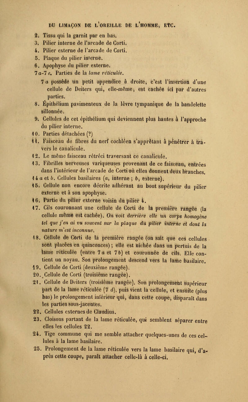 2. Tissu qui la garnit par en bas. 3. Pilier interne de l'arcade de Corti. 4. Pilier externe de l'arcade de Corti. 5. Plaque du pilier interne. 6. Apophyse du pilier externe. 7a-7 e. Parties de la lame réticulée. la possède un petit appendice à droite, c'est l'insertion d'une cellule de Deiters qui, elle-même, est cachée ici par d'autres parties. 8. Épithélium pavimenteux de la lèvre tympanique de la bandelette sillonnée. 9. Cellules de cet épithélium qui deviennent plus hautes à l'approche du pilier interne. 4 0. Parties détachées (?) 4 4. Faisceau de fibres du nerf cochléen s'apprêtant à pénétrer à tra- vers le canalicule. 4 2. Le même faisceau rétréci traversant ce canalicule. 4 3. Fibrilles nerveuses variqueuses provenant de ce faisceau, entrées dans l'intérieur de l'arcade de Corti où elles donnent deux branches. 44a et b. Cellules basilaires (a, interne ; 6, externe). 4 5. Cellule non encore décrite adhérant au bout supérieur du pilier externe et à son apophyse. 4 6. Partie du pilier externe voisin du pilier 4. 4 7. Cils couronnant une cellule de Corti de la première rangée (la cellule même est cachée). On voit derrière elle un corps homogène tel que j'en ai vu souvent sur la plaque du pilier interne et dont la nature m'est inconnue. 4 8. Cellule de Corti de la première rangée (on sait que ces cellules sont placées en quinconces) ; elle est nichée dans un pertuis de la lame réticulée (entre 7 a et 7 b) et couronnée de cils. Elle con- tient un noyau. Son prolongement descend vers la lame basilaire. 19. Cellule de Corti (deuxième rangée). 20. Cellule de Corti (troisième rangée). 21. Cellule de Deiters (troisième rangée). Son prolongement supérieur part de la lame réticulée (7 d), puis vient la cellule, et ensuite (plus bas) le prolongement inférieur qui, dans cette coupe, disparaît dans les parties sous-jacentes. 22. Cellules externes de Claudius. 23. Cloisons partant de la lame réticulée, qui semblent séparer entre elles les cellules 22. 24. Tige commune qui me semble attacher quelques-unes de ces cel- lules à la lame basilaire. 25. Prolongement de la lame réticulée vers la lame basilaire qui, d'a- près cette coupe, paraît attacher celle-là à celle-ci.