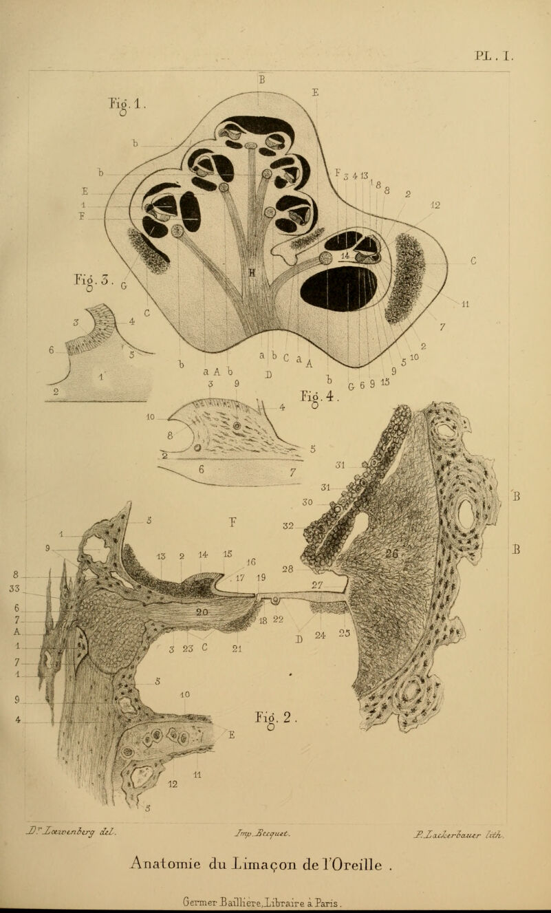 PX.I. F10.2 -Z>.7'-ùonrcnfejrç deZ-, Imp.Jïtcifuit, J'.-ZacZerh-uur /:t/i Anatomie du limaçon de l'Oreille Germer BaiHieTe.libTaire à Paris.