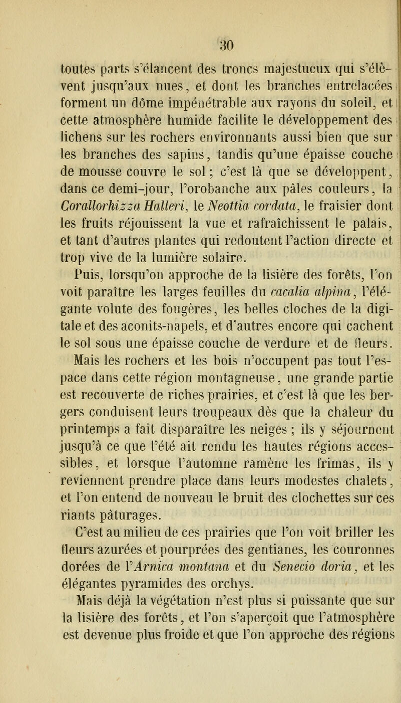 toutes parts s'élancent des troncs majestueux qui s'élè- vent jusqu'aux nues, et dont les branches entrelacées forment un dôme impénétrable aux rayons du soleil, et cette atmosphère humide facilite le développement des lichens sur les rochers environnants aussi bien que sur les branches des sapins, tandis qu'une épaisse couche de mousse couvre le sol ; c'est là que se développent, dans ce demi-jour, l'orobanche aux pâles couleurs, la Corallorhizza Halleri, le Neottia cordata, le fraisier dont les fruits réjouissent la vue et rafraîchissent le palais, et tant d'autres plantes qui redoutent l'action directe et ^ trop vive de la lumière solaire. Puis, lorsqu'on approche de la lisière des forêts. Ton voit paraître les larges feuilles du cacalia alpwa, l'élé- gante volute des fougères, les belles cloches de la digi- tale et des aconits-napels, et d'autres encore qui cachent le sol sous une épaisse couche de verdure et de ileurs. Mais les rochers et les bois n'occupent pas tout l'es- pace dans cette région montagneuse, une grande partie est recouverte de riches prairies, et c'est là que les ber- gers conduisent leurs troupeaux dès que la chaleur du printemps a fait disparaître les neiges ; ils y séjournent jusqu'à ce que l'été ait rendu les hautes régions acces- sibles, et lorsque l'automne ramène les frimas, ils ^ reviennent prendre place dans leurs modestes chalets, et l'on entend de nouveau le bruit des clochettes sur ces riants pâturages. C'est au milieu de ces prairies que l'on voit briller les Heurs azurées et pourprées des gentianes, les couronnes dorées de VArnica montana et du Senecio doria, et les élégantes pyramides des orchys. Mais déjà la végétation n'est plus si puissante que sur la lisière des forêts, et l'on s'aperçoit que l'atmosphère est devenue plus froide et que l'on approche des régions
