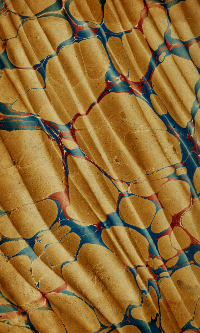 No text description is available for this image