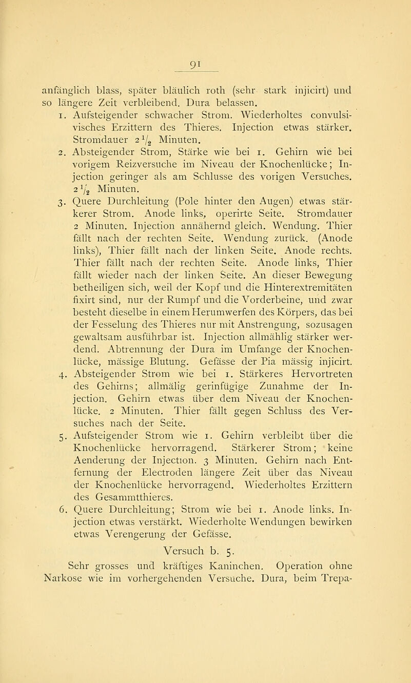 anfänglich blass, später bläulich roth (sehr stark injicirt) und so längere Zeit verbleibend. Dura belassen. 1. Aufsteigender schwacher Strom. Wiederholtes convulsi- visches Erzittern des Thieres. Injection etwas stärker. Stromdauer 2^j^ Minuten. 2. Absteigender Strom, Stärke wie bei i. Gehirn wie bei vorigem Reizversuche im Niveau der Knochenlücke; In- jection geringer als am Schlüsse des vorigen Versuches. 2 1/2 Minuten. 3. Quere Durchleitung (Pole hinter den Augen) etwas stär- kerer Strom. xA.node links, operirte Seite, Stromdauer 2 Minuten. Injection annähernd gleich. Wendung. Thier fällt nach der rechten Seite. Wendung zurück. (Anode links), Thier fällt nach der linken Seite. Anode rechts. Thier fällt nach der rechten Seite. Anode links, Thier fällt wieder nach der linken Seite. An dieser Bewegung betheiligen sich, weil der Kopf und die Hinterextremitäten fixirt sind, nur der Rumpf und die Vorderbeine, und zwar besteht dieselbe in einem Herumwerfen des Körpers, das bei der Fesselung des Thieres ntu- mit Anstrengung, sozusagen gewaltsam ausführbar ist. Injection allmählig stärker wer- dend. Abtrennung der Dura im Umfange der Knochen- lücke, massige Blutung. Gefässe der Pia massig injicirt. 4. Absteigender Strom wie bei i. Stärkeres Hervortreten des Gehirns; allmälig gerinfügige Zunahme der In- jection. Gehirn etwas über dem Niveau der Knochen- lücke. 2 Minuten. Thier fällt gegen Schluss des Ver- suches nach der Seite. 5. Aufsteigender Strom wie i. Gehirn verbleibt über die Knochenlücke hervorragend. Stärkerer Strom; keine Aenderung der Injection. 3 Minuten. Gehirn nach Ent- fernung der Electroden längere Zeit über das Niveau der Knochenlücke hervorragend. Wiederholtes Erzittern des Gesammtthieres. 6. Quere Durchleitung; Strom wie bei i. Anode links. In- jection etwas verstärkt. Wiederholte Wendungen bewirken etwas Verengerung der Gefässe. Versuch b. 5. Sehr grosses und kräftiges Kaninchen. Operation ohne Narkose wie im vorhergehenden Versuche. Dura, beim Trepa-