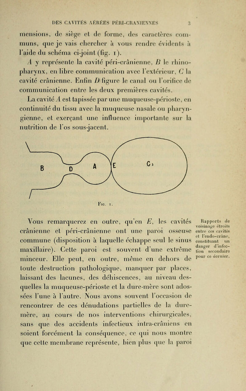 DES C/VViTK.s ai';iU';es pi';ui-(;ua\ie\\f.s ?, inciisioiis, de siège et de l'orme, des curaclèrcs com- muns, que je vais chercher à vous rendre évidents à l'aide du schéma ci-joint (fig. i). A y représente la cavité péri-cranienne, B le iliino- pharynx, en libre commum'calion avec l'extérieur, C la cavité crânienne. Enfin D figure le canal ou l'orince de communication entre les deux premières cavités. La cavité A est tapissée par une muqueuse-périoste, en continuité du tissu avec la muqueuse nasale ou pliaryn- gienne, et exerçant une influence importante sur la nutrition de l'os sous-jacent. Fig. I. Vous remarquerez en outre, qu'en E, les cavités Rapports de * . . . . voisinaiie étroits crânienne et péri-crânienne ont une paroi osseuse entre cm cavités et 1 cncio—crAno commune (disposition à laquelle échappe seul le sinus constituant un n\ r~i ■. • . ■ T f A danger d'infec- an'e). Lette paroi est souvent dune extrême non secondai minceur. Elle peut, en outre, même en dehors de P' toute destruction pathologique, manquer par places, laissant des lacunes, des déhiscences, au niveau des- quelles la muqueuse-périoste et la dure-mère sont ados- sées l'une à l'autre. Nous avons souvent l'occasion de rencontrer de ces dénudations partielles de la dure- mère, au cours de nos interventions chirm-gicales, sans que des accidents infectieux intra-crâniens en soient forcément la conséquence, ce qui nous montre que cette membrane représente, bien plus que la paroi secondaire ce dernier.