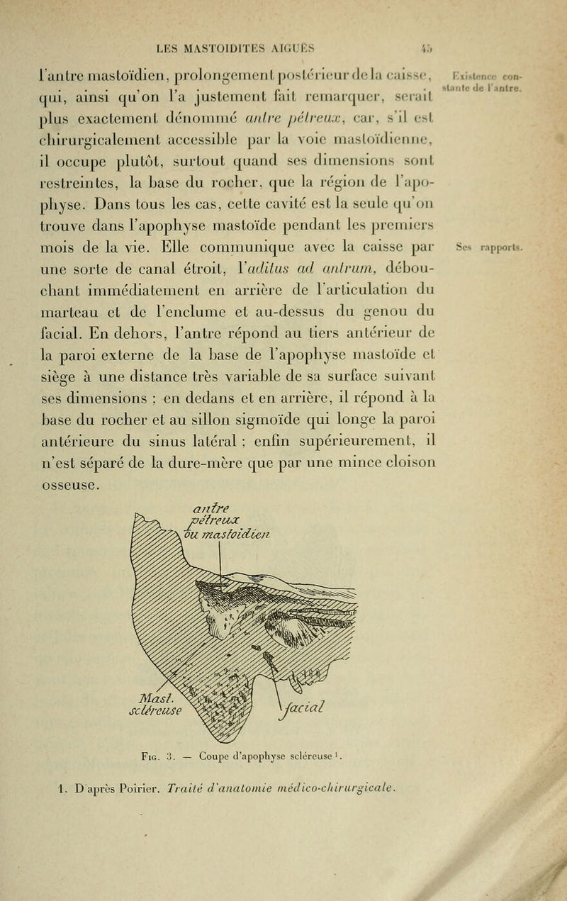 1 aiiLi'C niastoïdicn, proloiigoincML j)osloneurdolu cuisse, Kii^Uîna- con- , i> • , , r» •■ •. sUiiile de l'anire. qui, ainsi qu on lu justement lait remarquer, serait plus exactcmcnL dénomme aidve pélreax, car, s'il est chirurgicalcment uccessil)Jc pur la vole musloïdicnne, il occupe plutôt, surloul, quand ses dimensions sont restreintes, la base du rocher, que la région de l'apo- physe. Dans tous les cas, cette cavité est la seule qu'on trouve dans l'apophyse mastoïdc pendant les premiers mois de la vie. Elle communique avec la caisse par Ses apports, une sorte de canal étroit, Vaditas ad aiilrum, débou- chant immédiatement en arrière de l'articulation du marteau et de l'enclume et au-dessus du genou du facial. En dehors, l'antre répond au tiers antérieur de la paroi externe de la base de l'apophyse mastoïde et siège à une distance très variable de sa surface suivant ses dimensions ; en dedans et en arrière, il répond à la base du rocher et au sillon sigmoïde qui longe la paroi antérieure du sinus latéral ; enfin supérieurement, il n'est séparé de la dure-mère que par une mince cloison osseuse. , ou masfoidie/t Masi. sclércUySe 'acial FiG. 3. — Coupe d'apophyse scléreuse'. 1. D après Poirier. Traité d'analuinie inédico-chirargicale. M-