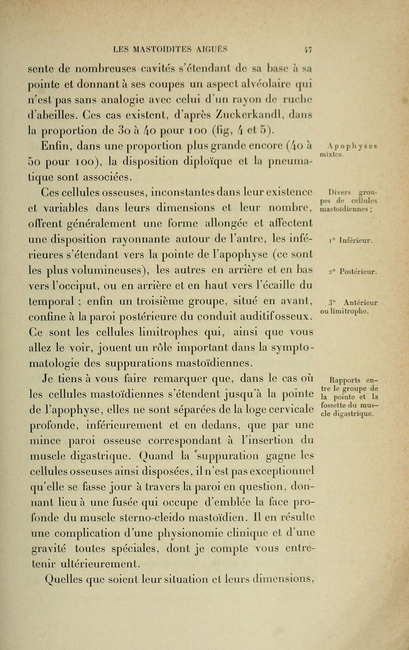 scnlc de nombreuses cavités s'étendant de sa base à sa pointe et donnant à ses coupes un aspect alvéolaire qui n'est pas sans analogie avec celui d'iui rayon de ruclio d'abeilles. Ces cas existent, d'après ZuckcrkandI, dans la proportion de 3o à /jo pour loo (dg, h et 5). Enfin, dans une proportion plus grande encore (4o à Apophyses \ 1 T • • !• 1 1 mixtes. 00 pour lOo), la disposition diploïque et la pneuma- tique sont associées. Ces cellules osseuses, inconstantes dans leur existence Divers grou- . . - , pes de cellules et variables dans leurs dimensions et leur nombre, mastoïdiennes; offrent généralement une forme allongée et affectent une disposition rayonnante autour de l'antre, les infé- , inférieur. rieures s'étendant vers la pointe de l'apophyse (ce sont les plus volumineuses), les autres en arrière et en bas 2° Postérieur. vers l'occiput, ou en arrière et en haut vers l'écaillé du temporal ; enfin un troisième groupe, situé en avant, 3° Antérieur f. ,1 • ,,• 1 !•, 1-,-p OU limitrophe. comme a la paroi postérieure du conduit auditii osseux. Ce sont les cellules limitrophes qui, ainsi que vous allez le voir, jouent un rôle important dans la sympto- matologie des suppurations mastoïdiennes. Je tiens à vous faire remarquer que, dans le cas où Rapports en- les cellules mastoïdiennes s'étendent jusqu'à la pointe j p'ofnte^et la de l'apophyse, elles ne sont séparées de la loge cervicale ciHisastricme!' profonde, inférieurement et en dedans, que par une mince paroi osseuse correspondant à l'insertion du muscle digastrique. Quand la suppuration gagne les cellules osseuses ainsi disposées, il n'est pas exceptionnel qu'elle se fasse jour à travers la paroi en question, don- nant lieu à une fusée qui occupe d'emblée la face pro- fonde du muscle sterno-cleido mastoïdien. 11 en résulte une complication d'une physionomie clinique et d'une gravité toutes spéciales, dont je compte vous entre- tenir ultérieurement. Quelles que soient leur situation et leurs dimensions,