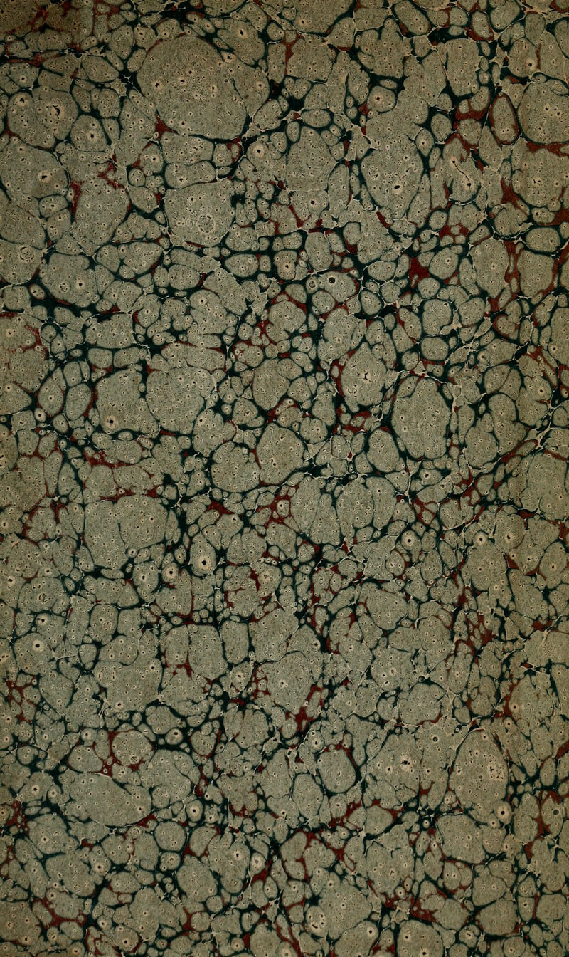 .N.-.-v V. \' V -^ \: '< X-. x >: )■ > »^Y -^^ r 1 a: A ;t>?'-')h rV/ 'y\ f^ ^ >f : i*>^ cV^- ^ ^/^ 't^i > '< <' ^N, ^^4 n •^. j 4. •P<VA^-^ / X ^^> ^ ■f^^ .^/-H ,Jr). r t ( -.v^ T-Tv- i^» V> r^ ■■'^x. ,yr^r-''*>^ 't f*^A