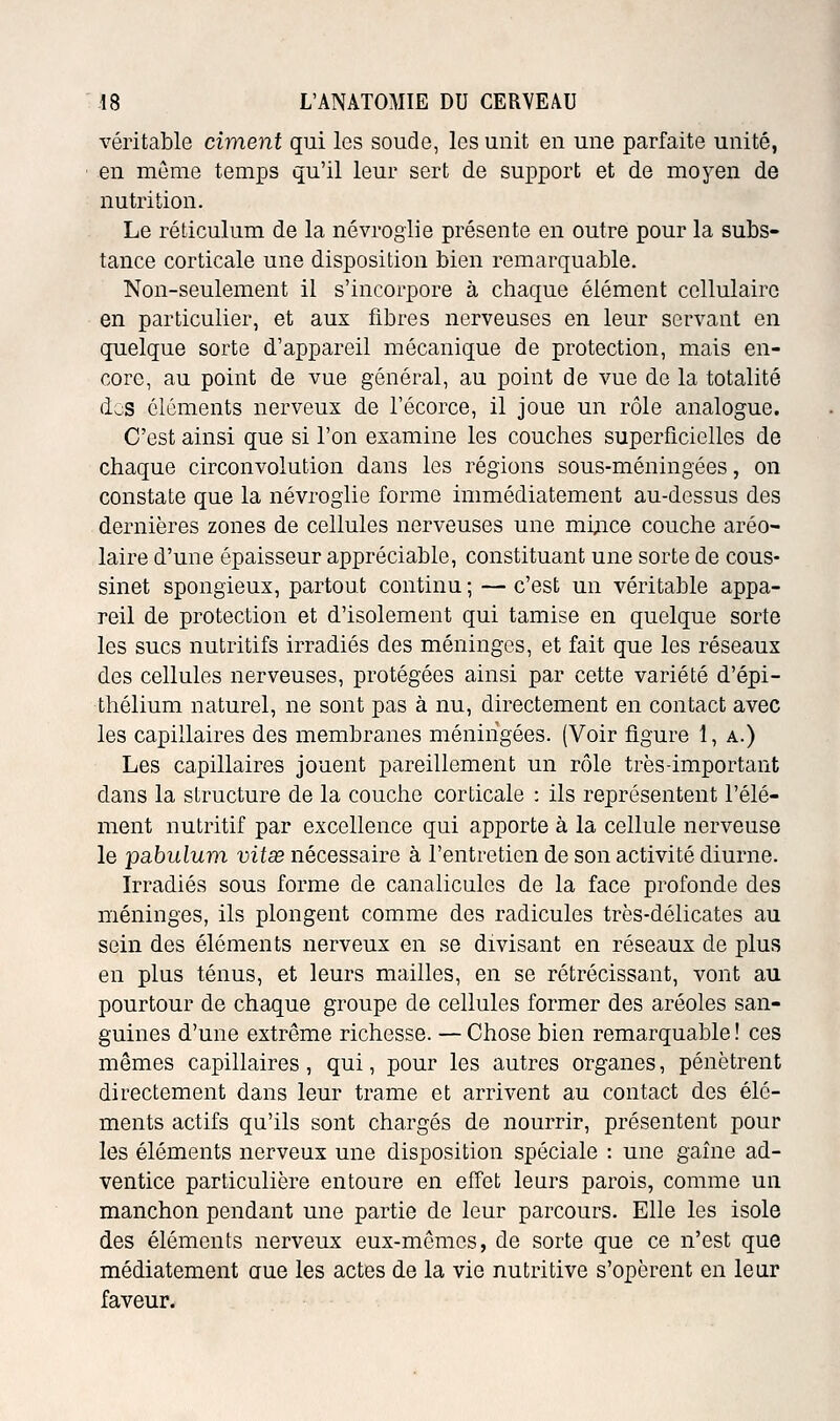 véritable ciment qui les soude, les unit en une parfaite unité, en môme temps qu'il leur sert de support et de moyen de nutrition. Le réticulum de la névroglie présente en outre pour la subs- tance corticale une disposition bien remarquable. Non-seulement il s'incorpore à chaque élément cellulaire en particulier, et aux fibres nerveuses en leur servant en quelque sorte d'appareil mécanique de protection, mais en- core, au point de vue général, au point de vue de la totalité dos éléments nerveux de l'écorce, il joue un rôle analogue. C'est ainsi que si l'on examine les couches superficielles de chaque circonvolution dans les régions sous-méningées, on constate que la névroglie forme immédiatement au-dessus des dernières zones de cellules nerveuses une milice couche aréo- laire d'une épaisseur appréciable, constituant une sorte de cous- sinet spongieux, partout continu ; — c'est un véritable appa- reil de protection et d'isolement qui tamise en quelque sorte les sucs nutritifs irradiés des méninges, et fait que les réseaux des cellules nerveuses, protégées ainsi par cette variété d'épi- thélium naturel, ne sont pas à nu, directement en contact avec les capillaires des membranes méningées. (Voir figure 1, a.) Les capillaires jouent pareillement un rôle très-important dans la structure de la couche corticale : ils représentent l'élé- ment nutritif par excellence qui apporte à la cellule nerveuse le pabulum vitse nécessaire à l'entretien de son activité diurne. Irradiés sous forme de canalicules de la face profonde des méninges, ils plongent comme des radicules très-délicates au sein des éléments nerveux en se divisant en réseaux de plus en plus ténus, et leurs mailles, en se rétrécissant, vont au pourtour de chaque groupe de cellules former des aréoles san- guines d'une extrême richesse. — Chose bien remarquable ! ces mêmes capillaires, qui, pour les autres organes, pénètrent directement dans leur trame et arrivent au contact des élé- ments actifs qu'ils sont chargés de nourrir, présentent pour les éléments nerveux une disposition spéciale : une gaîne ad- ventice particulière entoure en effet leurs parois, comme un manchon pendant une partie de leur parcours. Elle les isole des éléments nerveux eux-mêmes, de sorte que ce n'est que médiatement aue les actes de la vie nutritive s'opèrent en leur faveur.