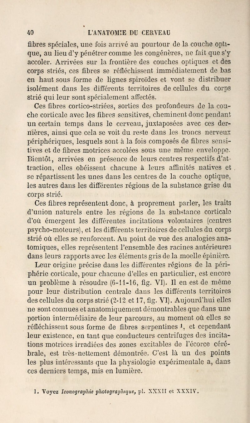 fibres spéciales, une fois arrivé au pourtour de la couche opti- que, au lieu d'y pénétrer comme les congénères, ne fait que s'y accoler. Arrivées sur la frontière des couches optiques et des corps striés, ces fihres se réfléchissent immédiatement de bas en haut sous forme de lignes spiroïdes et vont se distribuer isolément dans les différents territoires de cellules du corps strié qui leur sont spécialement affectés. Ces fibres cortico-striées, sorties des profondeurs de la cou- che corticale avec les fibres sensitives, cheminent donc pendant un certain temps dans le cerveau, juxtaposées avec ces der- nières, ainsi que cela se voit du reste dans les troncs nerveux périphériques, lesquels sont à la fois composés de fibres sensi- tives et de fibres motrices accolées sous une même enveloppe. Bientôt, arrivées en présence de leurs centres respectifs d'at- traction, elles obéissent chacune à leurs affinités natives et se répartissent les unes dans les centres de la couche optique, les autres dans les différentes régions de la substance grise du corps strié. Ces fibres représentent donc, à proprement parler, les traits d'union naturels entre les régions de la substance corticale d'où émergent les différentes incitations volontaires (centres psycho-moteurs), et les différents territoires de cellules du corps strié où elles se renforcent. Au point de vue des analogies ana- tomiques, elles représentent l'ensemble des racines antérieures dans leurs rapports avec les éléments gris de la moelle épinière. Leur origine précise dans les différentes régions de la péri- phérie corticale, pour chacune d'elles en particulier, est encore un problème à résoudre (6-11-16, fig. VI). Il en est de même pour leur distribution centrale dans les différents territoires des cellules du corps strié (2-12 et 17, fig. VI). Aujourd'hui elles ne sont connues et anatomiquement démontrables que dans une portion intermédiaire de leur parcours, au moment où elles se réfléchissent sous forme de fibres serpentines ^ et cependant leur existence, en tant que conducteurs centrifuges des incita- tions motrices irradiées des zones excitables de l'écorce céré- brale, est très-nettement démontrée. C'est là un des points les plus intéressants que la physiologie expérimentale a, dans ces derniers temps, mis en lumière. 1. Voyez Iconographie photographique, pi. XXXII et XXXIV.