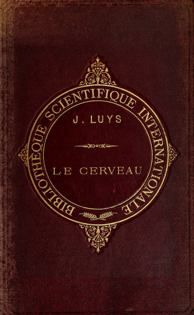 digitised image 1