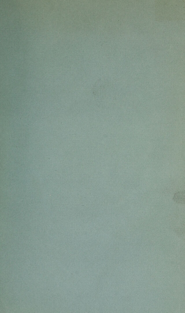 digitised image 3
