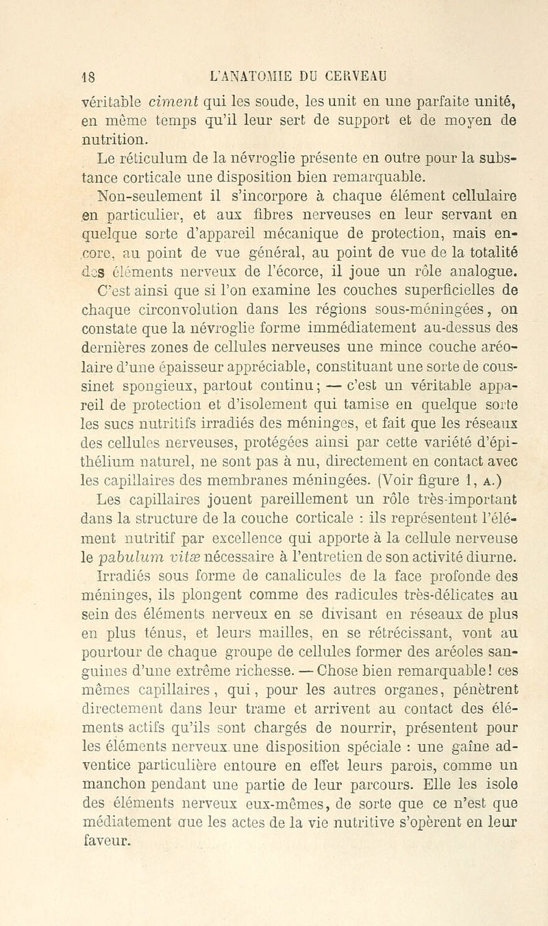 véritable ciment qui les soude, les unit en une parfaite unité, en même temps qu'il leur sert de support et de moyen de nutrition. Le réticulum de la névroglie présente en outre pour la subs- tance corticale une disposition bien remarquable. Non-seulement il s'incorpore à chaque élément cellulaire .en particulier, et aux fibres nerveuses en leur servant en quelque sorte d'appareil mécanique de protection, mais en- core, au point de vue général, au point de vue de la totalité des cléments nerveux de l'écorce, il joue un rôle analogue. C'est ainsi que si l'on examine les couches superficielles de chaque circonvolution dans les régions sous-méningées, on constate que la névroglie forme immédiatement au-dessus des dernières zones de cellules nerveuses une mince couche aréo- laire d'une épaisseur appréciable, constituant une sorte de cous- sinet spongieux, partout continu ; — c'est un véritable appa- reil de protection et d'isolement qui tamise en quelque sorte les sucs nutritifs irradiés des méninges, et fait que les réseaux des cellules nerveuses, protégées ainsi par cette variété d'épi- thélium naturel, ne sont pas à nu, directement en contact avec les capillaires des membranes méningées. (Voir figure 1, a.) Les capillaires jouent pareillement un rôle très-important dans la structure de la couche corticale : ils représentent l'élé- ment nutritif par excellence qui apporte à la cellule nerveuse le pabulum vitse nécessaire à l'entretien de son activité diurne. Irradiés sous forme de canalicules de la face profonde des méninges, ils plongent comme des radicules très-délicates au sein des éléments nerveux en se divisant en réseaux de plus en plus ténus, et leurs mailles, en se rétrécissant, vont au pourtour de chaque groupe de cellules former des aréoles san- guines d'une extrême richesse. — Chose bien remarquable ! ces mêmes capillaires , qui, pour les autres organes, pénètrent directement dans leur trame et arrivent au contact des élé- ments actifs qu'ils sont chargés de nourrir, présentent pour les éléments nerveux une disposition spéciale : une gaîne ad- ventice particulière entoure en effet leurs parois, comme un manchon pendant une partie de leur parcours. Elle les isole des éléments nerveux eux-mêmes, de sorte que ce n'est que médiatement aue les actes de la vie iiutritive s'opèrent en leur faveur.