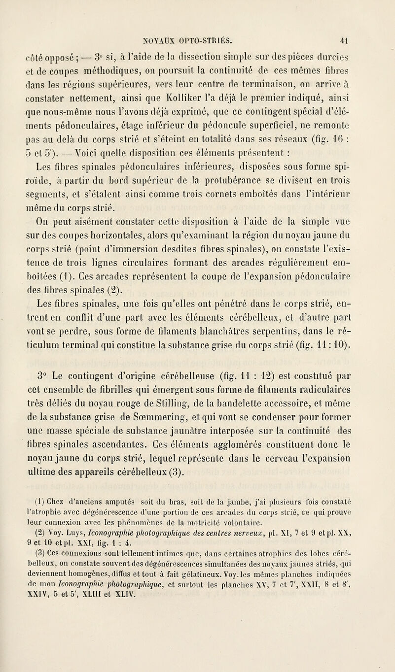 côté opposé ; — 3 si, à l'aide de la dissection simple sur des pièces durcies et de coupes méthodiques, on poursuit la continuité de ces mêmes fibres dans les régions supérieures, vers leur centre de terminaison, on arrive à constater nettement, ainsi que Kolliker l'a déjà le premier indiqué, ainsi que nous-même nous l'avons déjà exprimé, que ce contingent spécial d'élé- ments pédonculaires, étage inférieur du pédoncule superficiel, ne remonte pas au delà du corps strié et s'éteint en totalité dnns ses réseaux (fig. 16 : 5 et 5'). —Voici quelle disposition ces éléments présentent : Les fibres spinales pédonculaires inférieures, disposées sous forme spi- roïde, à partir du bord supérieur de la protubérance se divisent en trois segments, et s'étalent ainsi comme trois cornets emboîtés dans l'intérieur même du corps strié. On peut aisément constater cette disposition à l'aide de la simple vue sur des coupes horizontales, alors qu'examinant la région du noyau jaune du corps strié (point d'immersion desdites fibres spinales), on constate l'exis- tence de trois lignes circulaires formant des arcades régulièrement em- boîtées (1). Ces arcades représentent la coupe de l'expansion pédonculaire des fibres spinales (2). Les fibres spinales, une fois qu'elles ont pénétré dans le corps strié, en- trent en conflit d'une part avec les éléments cérébelleux, et d'autre part vont se perdre, sous forme de filaments blanchâtres serpentins, dans le ré- ticulum terminal qui constitue la substance grise du corps strié (fig. 11 : 10). 3° Le contingent d'origine cérébelleuse (fig. 11 : 12) est constitué par cet ensemble de fibrilles qui émergent sous forme de filaments radiculaires très déliés du noyau rouge de Stilling, de la bandelette accessoire, et même de la substance grise de Sœmmering, et qui vont se condenser pour former une masse spéciale de substance jaunâtre interposée sur la continuité des fibres spinales ascendantes. Ces éléments agglomérés constituent donc le noyau jaune du corps strié, lequel représente dans le cerveau l'expansion ultime des appareils cérébelleux (3). (1) Chez d'anciens amputés soit du bras, soit de la jambe, j'ai plusieurs fois constaté l'atrophie avec dégénérescence d'une portion de ces arcades du corps strié, ce qui prouve leur connexion avec les phénomènes de la motricité volontaire. (2) Voy. Luys, Iconographie photographique des centres nerveux, pi. XI, 7 et 9 et pi. XX, 9 et 10 et pi. XXI, fig. 1 : 4. (3) Ces connexions sont tellement intimes que, dans certaines atrophies des lobes céré- belleux, on constate souvent des dégénérescences simultanées des noyaux jaunes striés, qui deviennent homogènes, diffus et tout à fait gélatineux. Voy. les mêmes planches indiquées de mon Iconographie photographique, et surtout les planches XV, 7 et T, XXII, 8 et 8', XXIV, 5 et 5', XLIII et XLIV.