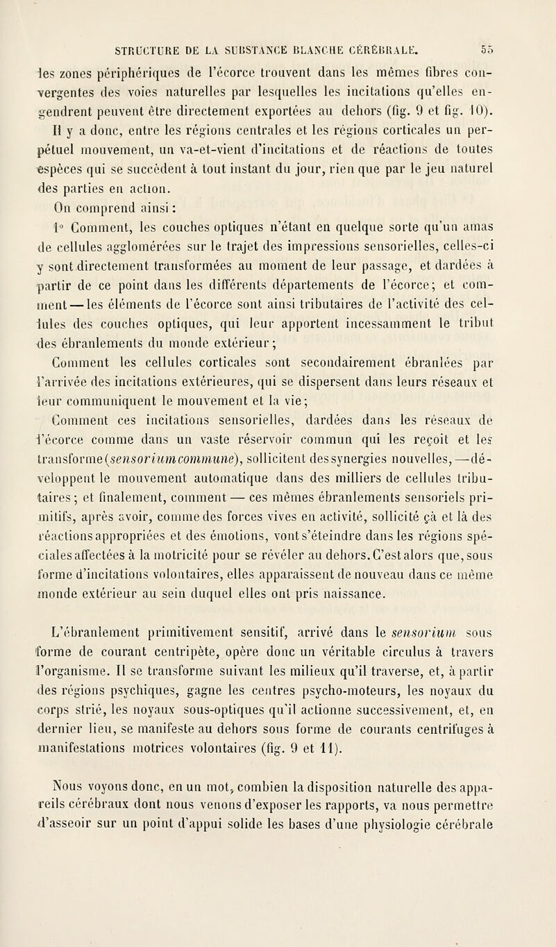 les zones périphériques de i'écorce trouvent dans les mêmes fibres con- vergentes des voies naturelles par lesquelles les incitations qu'elles en- gendrent peuvent être directement exportées au dehors (fig. 9 et fig. 10). H y a donc, entre les régions centrales et les régions corticales un per- pétuel mouvement, un va-et-vient d'incitations et de réactions de toutes espèces qui se succèdent à tout instant du jour, rien que par le jeu naturel des parties en action. On comprend ainsi : 1° Comment, les couches optiques n'étant en quelque sorte qu'un amas de cellules agglomérées sur le trajet des impressions sensorielles, celles-ci y sont directement transformées au moment de leur passage, et dardées à partir de ce point dans les différents départements de I'écorce ; et com- ment— les éléments de I'écorce sont ainsi tributaires de l'activité des cel- lules des couches optiques, qui leur apportent incessamment le tribut des ébranlements du monde extérieur; Comment les cellules corticales sont secondairement ébranlées par l'arrivée des incitations extérieures, qui se dispersent dans leurs réseaux et leur communiquent le mouvement et la vie; Comment ces incitations sensorielles, dardées dans les réseaux de I'écorce comme dans un vaste réservoir commun qui les reçoit et le? iransîoniïe^seiisoriumcommune), sollicitent dessynergies nouvelles, — dé- veloppent le mouvement automatique dans des milliers de cellules tribu- taires; et finalement, comment— ces mêmes ébranlements sensoriels pri- mitifs, après svoir, comme des forces vives en activité, sollicité çà et là des réactions appropriées et des émotions, vont s'éteindre dans les régions spé- ciales affectées à la motricité pour se révéler au dehors. C'est alors que, sous forme d'incitations volontaires, elles apparaissent de nouveau dans ce même iïionde extérieur au sein duquel elles ont pris naissance. L'ébranlement primitivement sensitif, arrivé dans le sensorium sous forme de courant centripète, opère donc un véritable circulus à travers l'organisme. Il se transforme suivant les milieux qu'il traverse, et, à partir des régions psychiques, gagne les centres psycho-moteurs, les noyaux du corps strié, les noyaux sous-optiques qu'il actionne successivement, et, en dernier lieu, se manifeste au dehors sous forme de courants centrifuges à manifestations motrices volontaires (fig. 9 et 11). Nous voyons donc, en un mot, combien la disposition naturelle des appa- reils cérébraux dont nous venons d'exposer les rapports, va nous permettre d'asseoir sur un point d'appui solide les bases d'une physiologie cérébrale