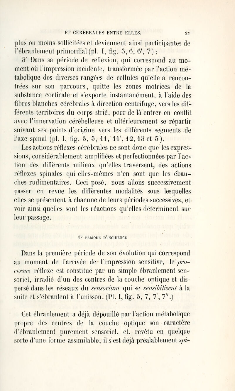 plus OU moins sollicitées et deviennent ainsi participantes de l'ébranlement primordial (pi. I, fig. 3, 6, 6', 7') ; 3° Dans sa période de réflexion, qui correspond au mo- ment oîi l'impression incidente, transformée par l'action mé- tabolique des diverses rangées de cellules qu'elle a rencon- trées sur son parcours, quitte les zones motrices de la substance corticale et s'exporte instantanément, à l'aide des fdires blanches cérébrales à direction centrifuge, vers les dif- férents territoires du corps strié, pour de là entrer en conflit avec l'innervation cérébelleuse et ultérieurement se répartir suivant ses points d'origine vers les différents segments de l'axe spinal (pi. î, fig. 3, 5, 11, 11', 12,13 et 5'). Les actions réflexes cérébrales ne sont donc que les expres- sions, considérablement amplifiées et perfectionnées par l'ac- tion des différents milieux qu'elles traversent, des actions réflexes spinales qui elles-mêmes n'en sont que les ébau- ches rudiraentaires. Ceci posé, nous allons successivement passer en revue les différentes modalités sous lesquelles elles se présentent à chacune de leurs périodes successives, et voir ainsi quelles sont les réactions qu'elles déterminent sur leur passage. 1° PÉRIODE d'incidence Dans la première période de son évolution qui correspond au moment de l'arrivée de l'impression sensitive, le pro- cessus réflexe est constitué par un simple ébranlement sen- soriel, irradié d'un des centres de la couche optique et dis- persé dans les réseaux du sensoriwn qui se sensibilisent à la suite et s'ébranlent à l'unisson. (PI. I, fig. 3, 7, 7', 7.) Cet ébranlement a déjà dépouillé par l'action métabolique propre des centres de la couche optique son caractère d'ébranlement purement sensoriel, et, revêtu en quelque sorte d'une forme assimilable, il s'est déjà préalablement c-f/v?'-