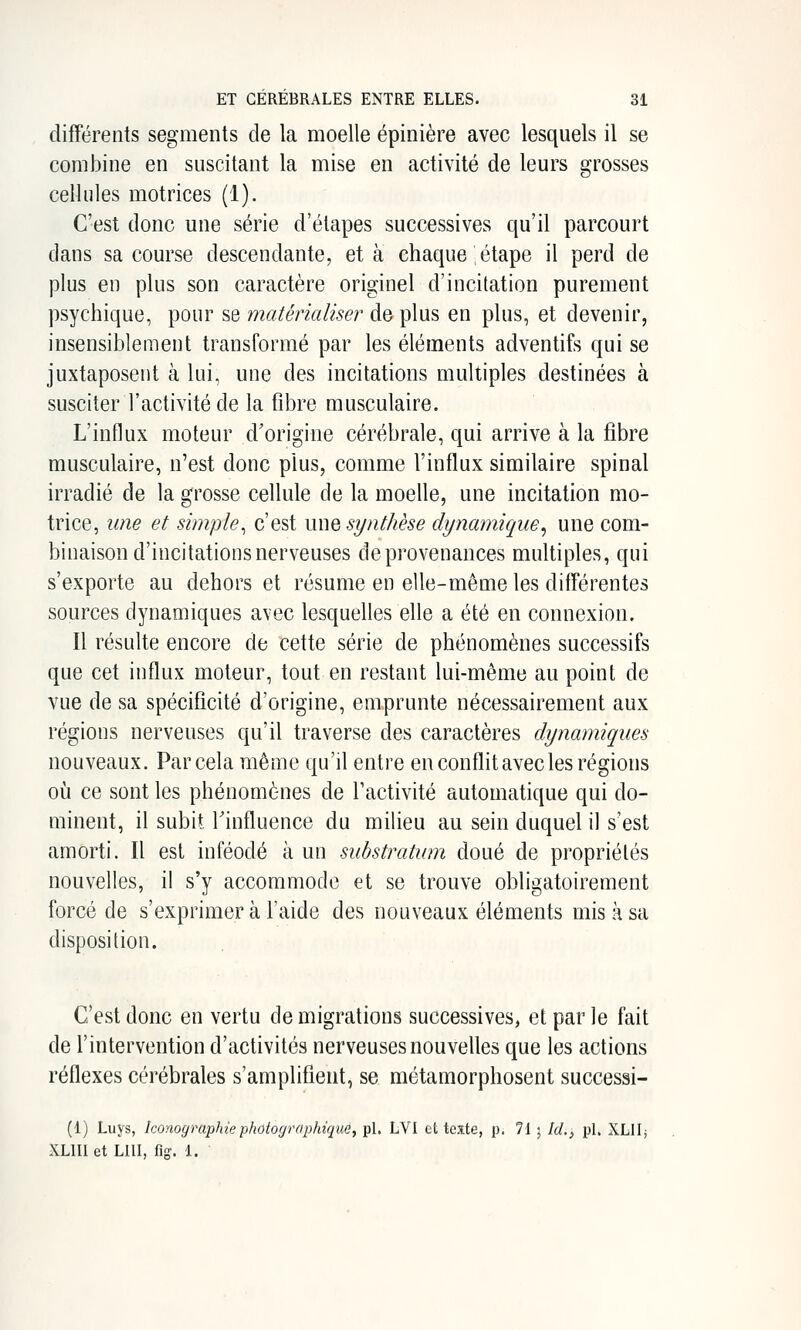 différents segments de la moelle épinière avec lesquels il se combine en suscitant la mise en activité de leurs grosses cellules motrices (1). C'est donc une série d'étapes successives qu'il parcourt dans sa course descendante, et à chaque étape il perd de plus en plus son caractère originel d'incitation purement psychique, pour se matérialiser de plus en plus, et devenir, insensiblement transformé par les éléments adventifs qui se juxtaposent à lui, une des incitations multiples destinées à susciter l'activité de la fibre musculaire. L'influx moteur d'origine cérébrale, qui arrive à la fibre musculaire, n'est donc plus, comme l'influx similaire spinal irradié de la grosse cellule de la moelle, une incitation mo- trice, une et simple^ c'est une synthèse dynamique^ une com- binaison d'incitations nerveuses deprovenances multiples, qui s'exporte au dehors et résume en elle-même les différentes sources dynamiques avec lesquelles elle a été en connexion. Il résulte encore de cette série de phénomènes successifs que cet influx moteur, tout en restant lui-même au point de vue de sa spécificité d'origine, emprunte nécessairement aux régions nerveuses qu'il traverse des caractères dynamiques nouveaux. Par cela même qu'il entre en conflit avec les régions où ce sont les phénomènes de Tactivité automatique qui do- minent, il subit rinfluence du milieu au sein duquel il s'est amorti. Il est inféodé à un substratum doué de propriétés nouvelles, il s'y accommode et se trouve obligatoirement forcé de s'exprimer à l'aide des nouveaux éléments mis à sa disposition. C'est donc en vertu de migrations successives, et par le fait de l'intervention d'activités nerveuses nouvelles que les actions réflexes cérébrales s'amplifient, se métamorphosent successi- (1) Luys, Iconoyraphiephotographique, pL LVI et texte, p. 71 5 Id.) pi. XLlIj XLIU et LUI, fig. 1.