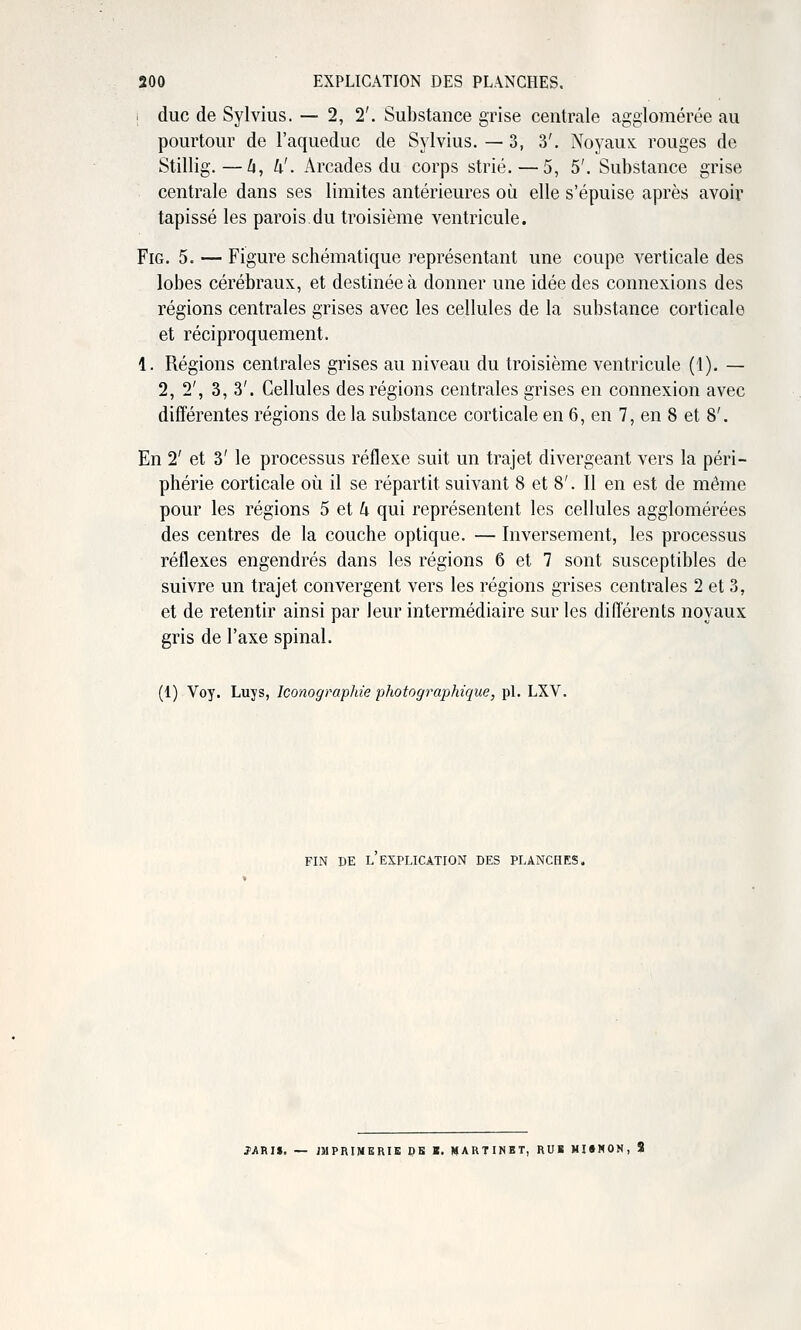 i duc de Sylvius. — 2, 2'. Substance grise centrale agglomérée au pourtour de l'aqueduc de Sylvius. — 3, 3'. Noyaux rouges de Stillig.—li, k'. Arcades du corps strié.—5, 5'. Substance grise centrale dans ses limites antérieures où elle s'épuise après avoir tapissé les parois.du troisième ventricule. FiG. 5. — Figure schématique représentant une coupe verticale des lobes cérébraux, et destinée à donner une idée des connexions des régions centrales grises avec les cellules de la substance corticale et réciproquement. 1. Régions centrales grises au niveau du troisième ventricule (1). — 2, 2', 3, 3'. Cellules des régions centrales grises en connexion avec différentes régions de la substance corticale en 6, en 7, en 8 et 8'. En 2' et 3' le processus réflexe suit un trajet divergeant vers la péri- phérie corticale où il se répartit suivant 8 et 8'. Il en est de même pour les régions 5 et 4 qui représentent les cellules agglomérées des centres de la couche optique. — Inversement, les processus réflexes engendrés dans les régions 6 et 7 sont susceptibles de suivre un trajet convergent vers les régions grises centrales 2 et 3, et de retentir ainsi par leur intermédiaire sur les différents noyaux gris de l'axe spinal. (1) Voy. Luys, Iconograplde photographique, pi. LXV. FIN DE L EXPLICATION DES PLANCHES. JARIi. — IMPRIMERIE PB K. «ARTINBT, RUl MUNON, S