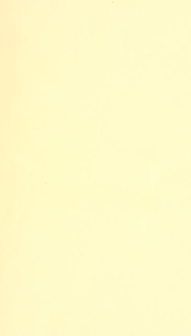 digitised image 3