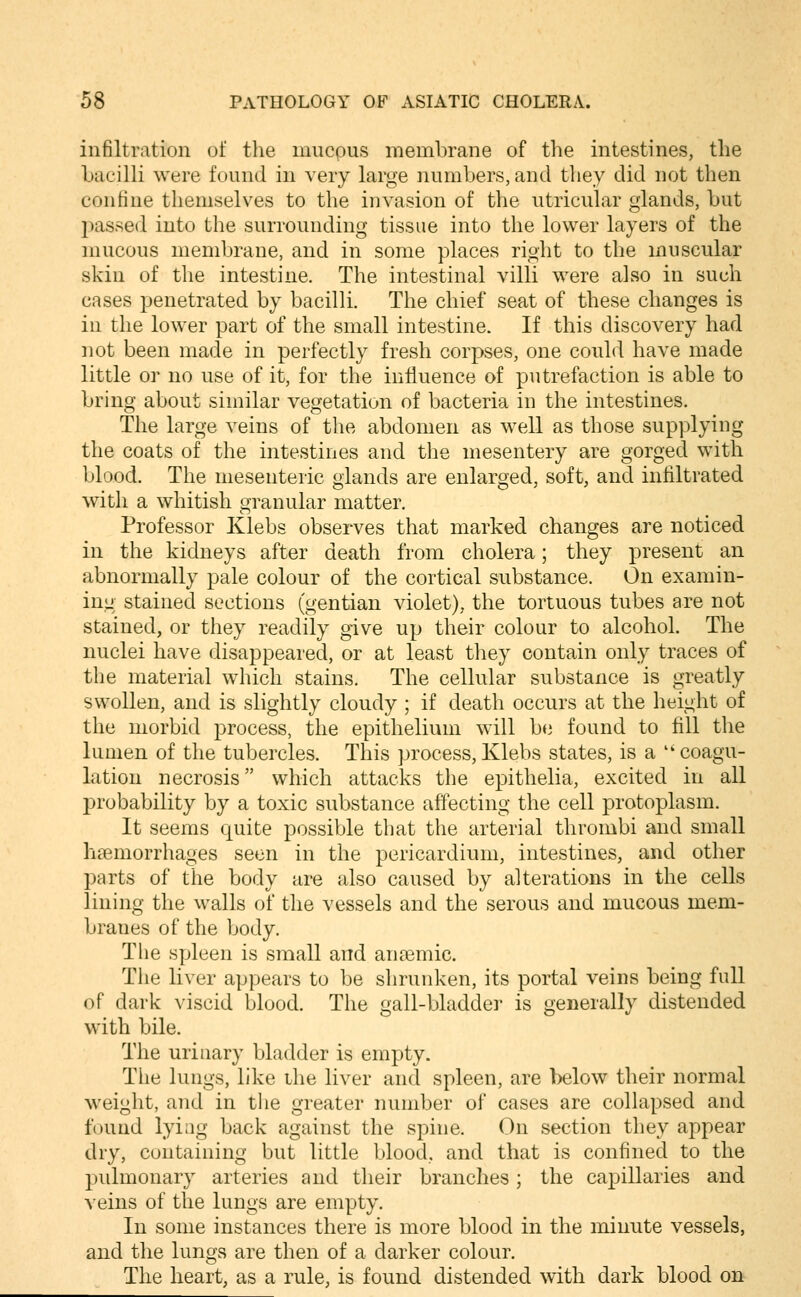 infiltration of the miicpus membrane of the intestines, the bacilli were found in very large numbers, and they did not then confine themselves to the invasion of the utricular glands, but passed into the surrounding tissue into the lower layers of the mucous membrane, and in some places right to the muscular skin of the intestine. The intestinal villi were also in such cases penetrated by bacilli. The chief seat of these changes is in the lower part of the small intestine. If this discovery had not been made in perfectly fresh corpses, one could have made little or no use of it, for the influence of putrefaction is able to bring about similar vegetation of bacteria in the intestines. The large veins of the abdomen as well as those supplying the coats of the intestines and the mesentery are gorged with blood. The mesenteric glands are enlarged, soft, and infiltrated with a whitish granular matter. Professor Klebs observes that marked changes are noticed in the kidneys after death from cholera; they present an abnormally pale colour of the cortical substance. On examin- ing stained sections (gentian violet), the tortuous tubes are not stained, or they readily give up their colour to alcohol. The nuclei have disappeared, or at least they contain only traces of the material which stains. The cellular substance is greatly swollen, and is slightly cloudy ; if death occurs at the height of the morbid process, the epithelium will be found to fill the lumen of the tubercles. This process, Klebs states, is a  coagu- lation necrosis which attacks the epithelia, excited in all probability by a toxic substance affecting the cell protoplasm. It seems quite possible that the arterial thrombi and small haemorrhages seen in the pericardium, intestines, and other parts of the body are also caused by alterations in the cells lining the walls of the vessels and the serous and mucous mem- branes of the body. The spleen is small and auEemic. The liver appears to be shrunken, its portal veins being full of dark viscid blood. The gall-bladder is generally distended with bile. The urinary bladder is empty. The lungs, like ihe liver and spleen, are below their normal weight, and in the greater number of cases are collapsed and found lying back against the spine. On section they appear dry, containing but little blood, and that is confined to the pulmonary arteries and their branches ; the capillaries and veins of the lungs are empty. In some instances there is more blood in the minute vessels, and the lungs are then of a darker colour. The heart, as a rule, is found distended with dark blood on