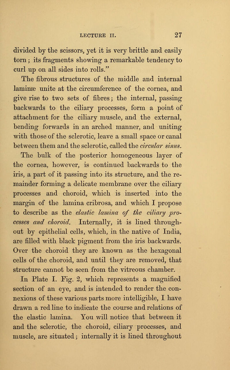 divided by the scissors, yet it is very brittle and easily torn; its fragments showing a remarkable tendency to cnrl up on all sides into rolls. The fibrous structures of the middle and internal laminae unite at the circumference of the cornea, and give rise to two sets of fibres; the internal, passing backwards to the ciliary processes, form a point of attachment for the ciliary muscle, and the external, bending forwards in an arched manner, and uniting with those of the sclerotic, leave a small space or canal between them and the sclerotic, called the circular sinus. The bulk of the posterior homogeneous layer of the cornea, however, is continued backwards to the iris, a part of it passing into its structure, and the re- mainder forming a delicate membrane over the ciliary processes and choroid, which is inserted into the margin of the lamina cribrosa, and which I propose to describe as the elastic lamina of the ciliary pro- cesses and choroid. Internally, it is lined through- out by epithelial cells, which, in the native of India, are filled with black pigment from the iris backwards. Over the choroid they are known as the hexagonal cells of the choroid, and until they are removed, that structure cannot be seen from the vitreous chamber. In Plate I. Fig. 2, which represents a magnified section of an eye, and is intended to render the con- nexions of these various parts more intelligible, I have drawn a red line to indicate the course and relations of the elastic lamina. You will notice that between it and the sclerotic, the choroid, ciliary processes, and muscle, are situated; internally it is lined throughout