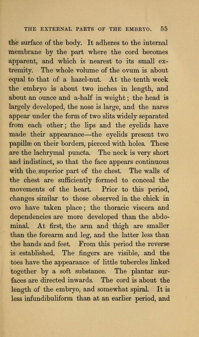 the surface of the body. It adheres to the iDtemal membrane by the part where the cord becomes apparent, and which is nearest to its small ex- tremity. The whole volume of the ovum is about equal to that of a hazel-nut. At the tenth week the embryo is about two inches in length, and about an ounce and a-half in weight; the head is largely developed, the nose is large, and the nares appear under the form of two slits widely separated from each other; the lips and the eyelids have made their appearance—the eyelids present two papillae on their borders, pierced with holes. These are the lachrymal puncta. The neck is very short and indistinct, so that the face appears continuous with the superior part of the chest. The walls of the chest are sufficiently formed to conceal the movements of the heart. Prior to this period, changes similar to those observed in the chick in ovo have taken place; the thoracic viscera and dependencies are more developed than the abdo- minal. At first, the arm and thigh are smaller than the forearm and leg, and the latter less than the hands and feet. From this period the reverse is established. The fingers are visible, and the toes have the appearance of little tubercles linked together by a soft substance. The plantar sur- faces are directed inwards. The cord is about the length of the embryo, and somewhat spiral. It is less infundibuliform than at an earlier period, and