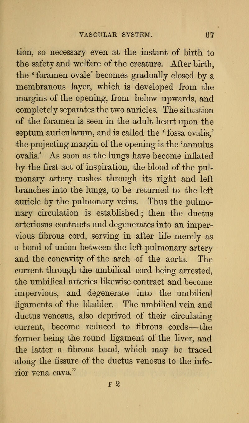 tion, so necessary even at the instant of birth to the safety and welfare of the creature. After birth, the * foramen ovale becomes gradually closed by a membranous layer, which is developed from the margins of the opening, from below upwards, and completely separates the two auricles. The situation of the foramen is seen in the adult heart upon the septum auricularum, and is called the ' fossa ovalis, the projecting margin of the opening is the 'annulus ovalis. As soon as the lungs have become inflated by the first act of inspiration, the blood of the pul- monary artery rushes through its right and left branches into the lungs, to be returned to the left auricle by the pulmonary veins. Thus the pulmo- nary circulation is established; then the ductus arteriosus contracts and degenerates into an imper- vious fibrous cord, serving in after life merely as a bond of union between the left pulmonary artery and the concavity of the arch of the aorta. The current through the umbilical cord being arrested, the umbilical arteries likewise contract and become impervious, and degenerate into the umbilical ligaments of the bladder. The umbilical vein and ductus venosus, also deprived of their circulating current, become reduced to fibrous cords—the former being the round ligament of the liver, and the latter a fibrous band, which may be traced along the fissure of the ductus venosus to the infe- rior vena cava.'' F 2