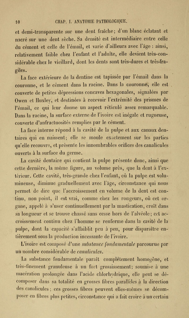 et demi-transparente sur une dent fraîche ; d'un blanc éclatant et nacré sur une dent sèche. Sa densité est intermédiaire entre celle du cément et celle de l'émail, et varie d'ailleurs avec l'âge : ainsi, relativement faible chez l'enfant et l'adulte, elle devient très-con- sidérable chez le vieillard, dont les dents sont très-dures et très-fra- giles. La face extérieure de la dentine est tapissée par l'émail dans la couronne, et le cément dans la racine. Dans la couronne, elle est couverte de petites dépressions concaves hexagonales, signalées par Owen et Huxley, et destinées à recevoir l'extrémité des prismes de l'émail, ce qui leur donne un aspect réticulé assez remarquable. Dans la racine, la surface externe de l'ivoire est inégale et rugueuse, couverte d'anfractuosités remplies par le cément. La face interne répond à la cavité de la pulpe et aux canaux den- taires qui en naissent; elle se moule exactement sur les parties qu'elle recouvre, et présente les innombrables orifices des canalicules ouverts à la surface du germe. La cavité dentaire qui contient la pulpe présente donc, ainsi que cette dernière, la même figure, au volume près, que la dent à l'ex- térieur. Cette cavité, très-grande chez l'enfant, où la pulpe est volu- mineuse, diminue graduellement avec l'âge, circonstance qui nous permet de dire que l'accroissement en volume de la dent est con- tinu, non point, il est vrai, comme chez les rongeurs, où cet or- gane, appelé à s'user continuellement par la mastication, croît dans sa longueur et se trouve chassé sans cesse hors de l'alvéole; cet ac- croissement continu chez l'homme se renferme dans la cavité de la pulpe, dont la capacité s'affaiblit peu à peu, pour disparaître en- tièrement sous la production incessante de l'ivoire. L'ivoire est composé d'une substance fondamentale parcourue par un nombre considérable de canalicules. La substance fondamentale paraît complètement homogène, et très-finement granuleuse à un fort grossissement; soumise à une macération prolongée dans l'acide chlorhydrique, elle peut se dé- composer dans sa totalité en grosses fibres parallèles à la direction des canalicules ; ces grosses fibres peuvent elles-mêmes se décom- poser en fibres plus petites, circonstance qui a fait croire à un certain