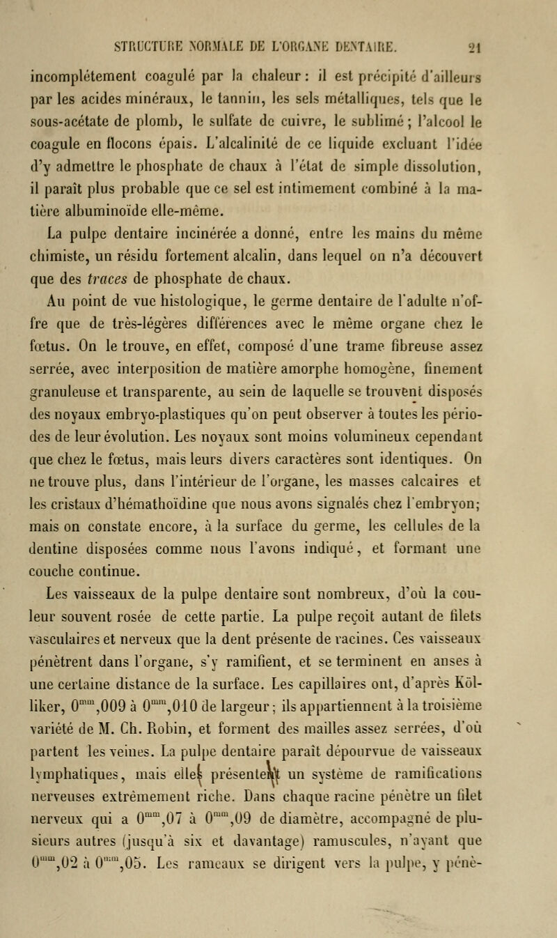 incomplètement coagulé par la chaleur : il est précipité d'ailleurs par les acides minéraux, le tannin, les sels métalliques, tels que le sous-acétate de plomb, le sulfate de cuivre, le sublimé ; l'alcool le coagule en flocons épais. L'alcalinité de ce liquide excluant l'idée d'y admettre le phosphate de chaux à l'état de simple dissolution, il paraît plus probable que ce sel est intimement combiné à la ma- tière albuminoïde elle-même. La pulpe dentaire incinérée a donné, entre les mains du même chimiste, un résidu fortement alcalin, dans lequel on n'a découvert que des traces de phosphate de chaux. Au point de vue hislologique, le germe dentaire de l'adulte n'of- fre que de très-légères différences avec le même organe chez le fœtus. On le trouve, en effet, composé d'une trame fibreuse assez serrée, avec interposition de matière amorphe homogène, finement granuleuse et transparente, au sein de laquelle se trouvent disposés des noyaux embryo-plastiques qu'on peut observer à toutes les pério- des de leur évolution. Les noyaux sont moins volumineux cependant que chez le fœtus, mais leurs divers caractères sont identiques. On ne trouve plus, dans l'intérieur de l'organe, les masses calcaires et les cristaux d'hémathoïdine que nous avons signalés chez l'embryon; mais on constate encore, à la surface du germe, les cellules de la dentine disposées comme nous l'avons indiqué, et formant une couche continue. Les vaisseaux de la pulpe dentaire sont nombreux, d'où la cou- leur souvent rosée de cette partie. La pulpe reçoit autant de filets vasculaires et nerveux que la dent présente de racines. Ces vaisseaux pénètrent dans l'organe, s'y ramifient, et se terminent en anses à une certaine distance de la surface. Les capillaires ont, d'après Kùl- liker, 0mm,009 à CPU,010 de largeur ; ils appartiennent à la troisième variété de M. Ch. Robin, et forment des mailles assez serrées, d'où partent les veines. La pulpe dentaire paraît dépourvue de vaisseaux lymphatiques, mais elles présentent un système de ramifications nerveuses extrêmement riche. Dans chaque racine pénètre un filet nerveux qui a 0mm,07 à 0moi,09 de diamètre, accompagné de plu- sieurs autres (jusqu'à six et davantage) ramuscules, n'ayant que 0,m,02 à Û:m,Û5. Les rameaux se dirigent vers la pulpe, y pêne-