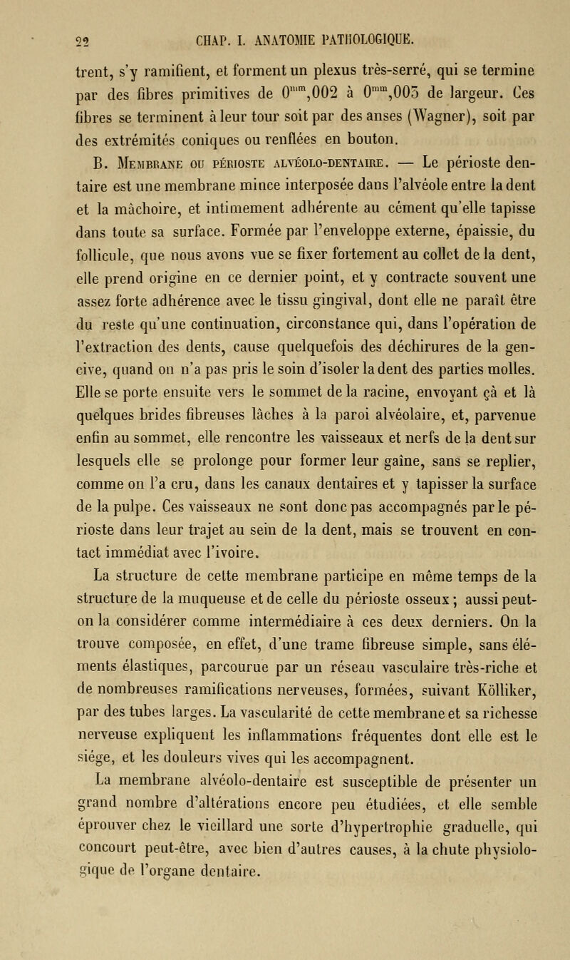 trent, s'y ramifient, et forment un plexus très-serré, qui se termine par des fibres primitives de 0u,m,002 à 0mm,005 de largeur. Ces fibres se terminent à leur tour soit par des anses (Wagner), soit par des extrémités coniques ou renflées en bouton. B. Membrane ou périoste alvéolo-dentaire. — Le périoste den- taire est une membrane mince interposée dans l'alvéole entre la dent et la mâchoire, et intimement adhérente au cément qu'elle tapisse dans toute sa surface. Formée par l'enveloppe externe, épaissie, du follicule, que nous avons vue se fixer fortement au collet de la dent, elle prend origine en ce dernier point, et y contracte souvent une assez forte adhérence avec le tissu gingival, dont elle ne paraît être du reste qu'une continuation, circonstance qui, dans l'opération de l'extraction des dents, cause quelquefois des déchirures de la gen- cive, quand on n'a pas pris le soin d'isoler la dent des parties molles. Elle se porte ensuite vers le sommet de la racine, envoyant çà et là quelques brides fibreuses lâches à la paroi alvéolaire, et, parvenue enfin au sommet, elle rencontre les vaisseaux et nerfs de la dent sur lesquels elle se prolonge pour former leur gaîne, sans se replier, comme on l'a cru, dans les canaux dentaires et y tapisser la surface de la pulpe. Ces vaisseaux ne sont donc pas accompagnés parle pé- rioste dans leur trajet au sein de la dent, mais se trouvent en con- tact immédiat avec l'ivoire. La structure de cette membrane participe en môme temps de la structure de la muqueuse et de celle du périoste osseux ; aussi peut- on la considérer comme intermédiaire à ces deux derniers. On la trouve composée, en effet, d'une trame fibreuse simple, sans élé- ments élastiques, parcourue par un réseau vasculaire très-riche et de nombreuses ramifications nerveuses, formées, suivant Kôlliker, par des tubes larges. La vascularité de cette membrane et sa richesse nerveuse expliquent les inflammations fréquentes dont elle est le siège, et les douleurs vives qui les accompagnent. La membrane alvéolo-dentaire est susceptible de présenter un grand nombre d'altérations encore peu étudiées, et elle semble éprouver chez le vieillard une sorte d'hypertrophie graduelle, qui concourt peut-être, avec bien d'autres causes, à la chute physiolo- gique de l'organe dentaire.