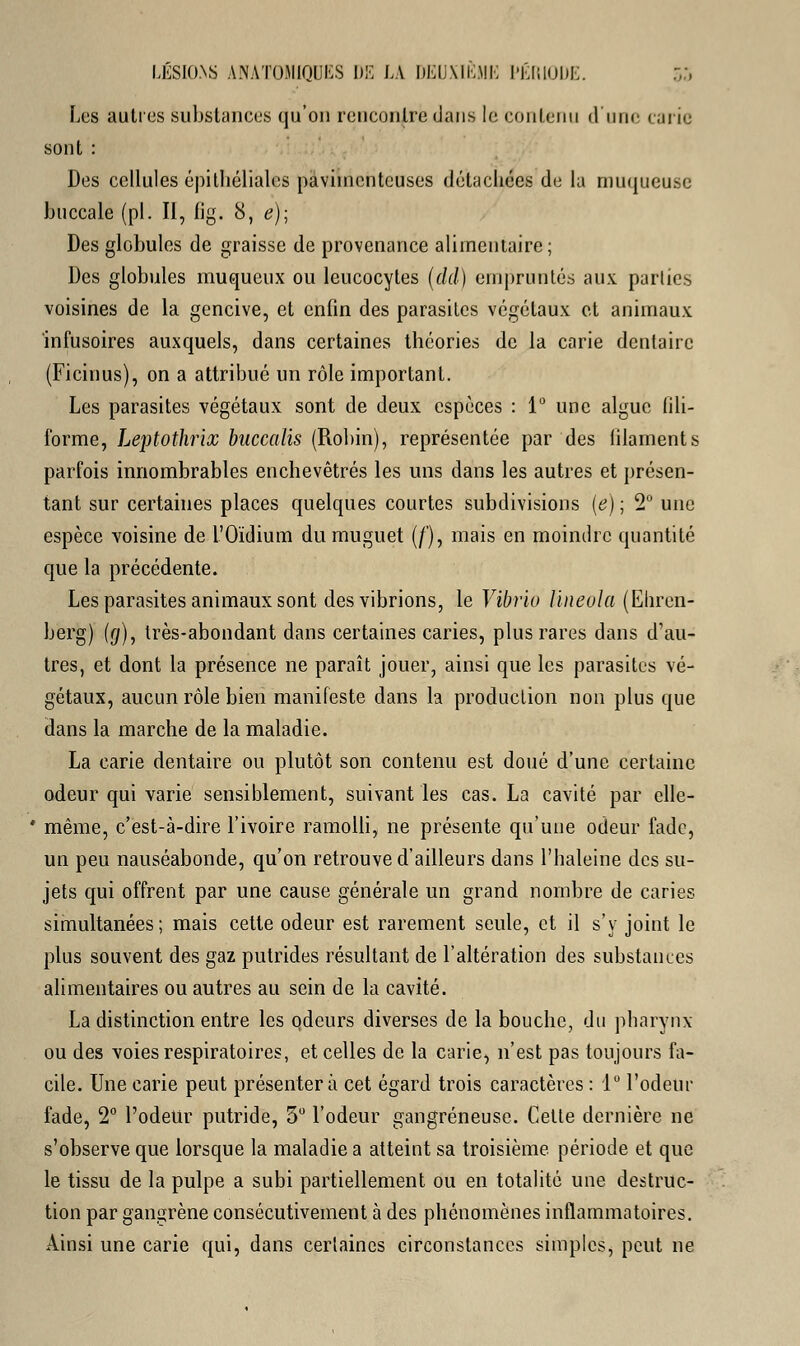 Les autres substances qu'on rencontré dans le contenu d'une * ;u ic sont : Des cellules épithéliales pavimenteuses détachées de la muqueuse buccale (pi. II, fig. 8, e)\ Des globules de graisse de provenance alimentaire; Des globules muqueux ou leucocytes (dd) empruntés aux parties voisines de la gencive, et enfin des parasites végétaux et animaux infusoires auxquels, dans certaines théories de la carie dentaire (Ficinus), on a attribué un rôle important. Les parasites végétaux sont de deux espèces : 1° une algue fili- forme, Leptothrix buccalis (Robin), représentée par des filaments parfois innombrables enchevêtrés les uns dans les autres et présen- tant sur certaines places quelques courtes subdivisions (e) ; 2° une espèce voisine de l'Oïdium du muguet (/'), mais en moindre quantité que la précédente. Les parasites animaux sont des vibrions, le Vibrio Jineula (Ehren- berg) (g), très-abondant dans certaines caries, plus rares dans d'au- tres, et dont la présence ne paraît jouer, ainsi que les parasites vé- gétaux, aucun rôle bien manifeste dans la production non plus que dans la marche de la maladie. La carie dentaire ou plutôt son contenu est doué d'une certaine odeur qui varie sensiblement, suivant les cas. La cavité par clle- ' même, c'est-à-dire l'ivoire ramolli, ne présente qu'une odeur fade, un peu nauséabonde, qu'on retrouve d'ailleurs dans l'haleine des su- jets qui offrent par une cause générale un grand nombre de caries simultanées; mais cette odeur est rarement seule, et il s'y joint le plus souvent des gaz putrides résultant de l'altération des substances alimentaires ou autres au sein de la cavité. La distinction entre les odeurs diverses de la bouche, du pharynx ou des voies respiratoires, et celles de la carie^ n'est pas toujours fa- cile. Une carie peut présentera cet égard trois caractères : 1° l'odeur fade, 2° l'odeur putride, 3° l'odeur gangreneuse. Celte dernière ne s'observe que lorsque la maladie a atteint sa troisième, période et que le tissu de la pulpe a subi partiellement ou en totalité une destruc- tion par gangrène consécutivement à des phénomènes inflammatoires. Ainsi une carie qui, dans certaines circonstances simples, peut ne