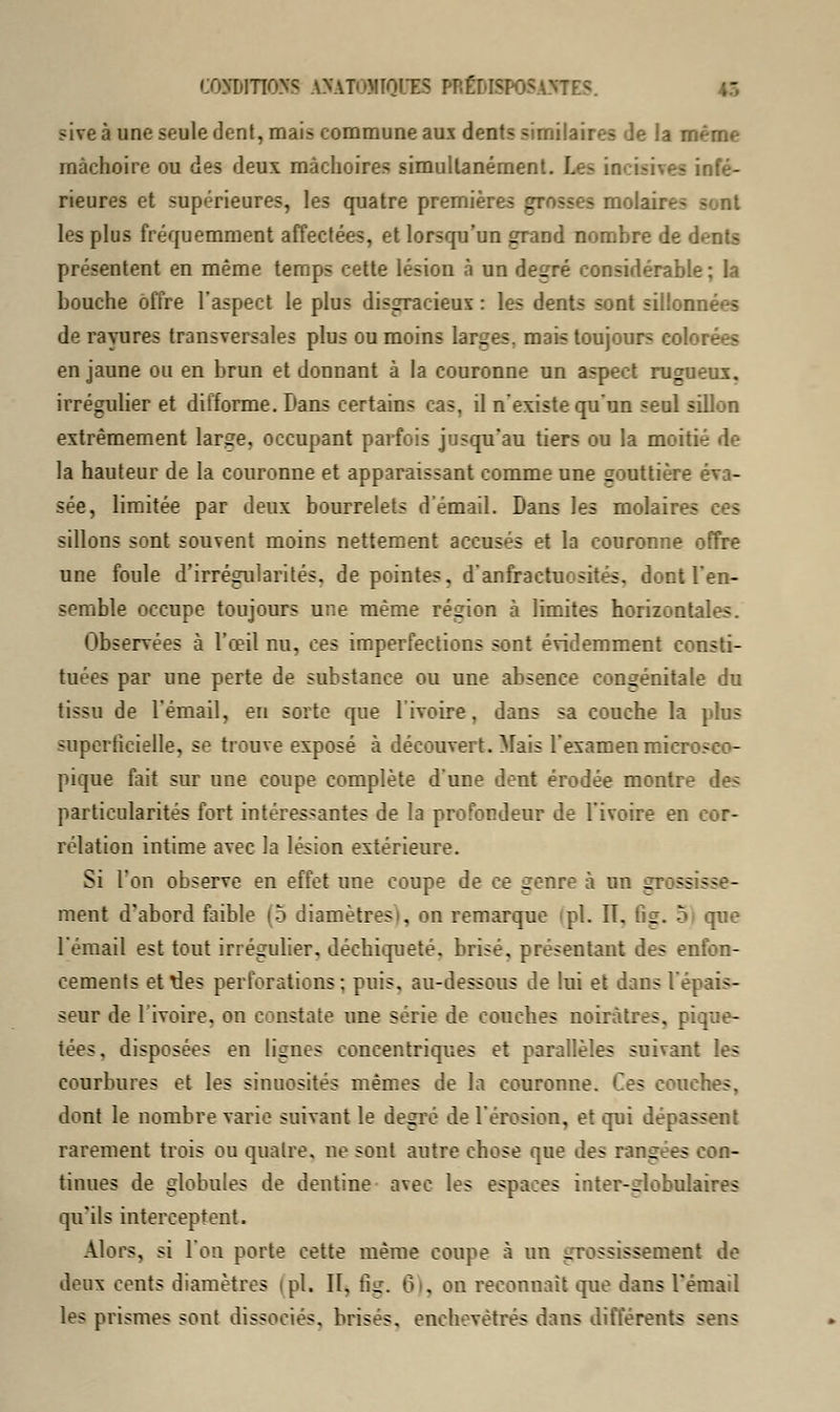 conditions fflâionoinB prédisposante*. sive à une seule dent, mais commune aux dents similaires de la r mâchoire ou des deux mâchoires simultanément. Les incisives infé- rieures et supérieures, les quatre premières grosses molaires les plus fréquemment affectées, et lorsqu'un grand nombre de dents présentent en même temps cette lésion à un degré considérab. bouche offre l'aspect le plus disgracieux : les dents sont sillonnées de rayures transversales plus ou moins larges, mais toujours colorées en jaune ou en brun et donnant à la couronne un aspect rugueux, irrégulier et difforme. Dans certains cas, il n'existe qu'un seul sillon extrêmement large, occupant parfois jusqu'au tiers ou la moiti- de la hauteur de la couronne et apparaissant comme une gouttière éva- sée, limitée par deux bourrelets d'émail. Dans les molaire- sillons sont souvent moins nettement accusés et la couronne offre une foule d'irrégularités, de pointes, d'anfractucsités. dont l'en- semble occupe toujours une même région à limites horizontales. Observées à l'œil nu, ces imperfections sont évidemment consti- tuées par une perte de substance ou une absence congénitale du tissu de l'émail, en sorte que l'ivoire, dans sa couche la plus superficielle, se trouve exposé à découvert. Mais l'examen microsco- pique fait sur une coupe complète d'une dent érodée montr particularités fort intéressantes de la profondeur de l'ivoire en cor- rélation intime avec la lésion extérieure. Si l'on observe en effet une coupe de ce genre à un grossisse- ment d'abord faible 10 diamètresi, on remarque (pi. II. tig. 5 que l'émail est tout irrégulier, déchiqueté, brisé, présentant des enfon- cements et tles perforations ; puis, au-dessous de lui et dans l'épais- seur de 1 ivoire, on constate une série de couches noirâtres, pique- tées, disposées en lignes concentriques et parallèles suivant les courbures et les sinuosités mêmes de la couronne. Ces couches, dont le nombre varie suivant le degré de l'érosion, et qui dépassent rarement trois ou quatre, ne sont autre chose que des rangées con- tinues de globules de dentine avec les espaces inter-globulaires qu'ils interceptent. Alors, si l'on porte cette même coupe à un grossissement de deux cents diamètres (pi. Il, tig. 6), on reconnaît que dans l'émail les prismes sont dissociés, brisés, enchevêtrés dans différents sens