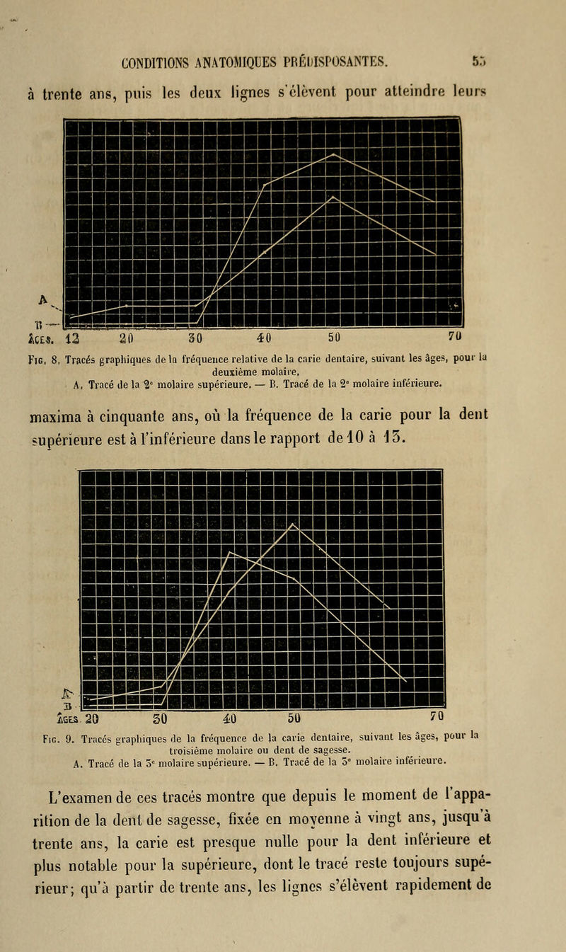 à trente ans, puis les deux lignes s'élèvent pour atteindre leurs u- fo£5. 12 Fig, 8, Tracés graphiques delà fréquence relative de la carie dentaire, suivant les âges, pour la deuxième molaire, A, Tracé de la Uc molaire supérieure. — B. Tracé de la 2* molaire inférieure. maxima à cinquante ans, où la fréquence de la carie pour la dent supérieure est à l'inférieure dans le rapport de 10 à 15. £' kts. 20 ibh! ■IBi IIH^lllllllllll ■HHMUMKHBBiSIHBKM ■■■mnnurjM««*B«K!ra Fie. 9. Traces graphiques de la fréquence de la carie dentaire, suivant les âges, pour la troisième molaire ou dent de sagesse. A. Tracé de la 5° molaire supérieure. — B. Tracé de la ô molaire inférieure. L'examen de ces tracés montre que depuis le moment de l'appa- rition de la dent de sagesse, fixée en moyenne à vingt ans, jusqu'à trente ans, la carie est presque nulle pour la dent inférieure et plus notable pour la supérieure, dont le tracé reste toujours supé- rieur; qu'à partir de trente ans, les lignes s'élèvent rapidement de