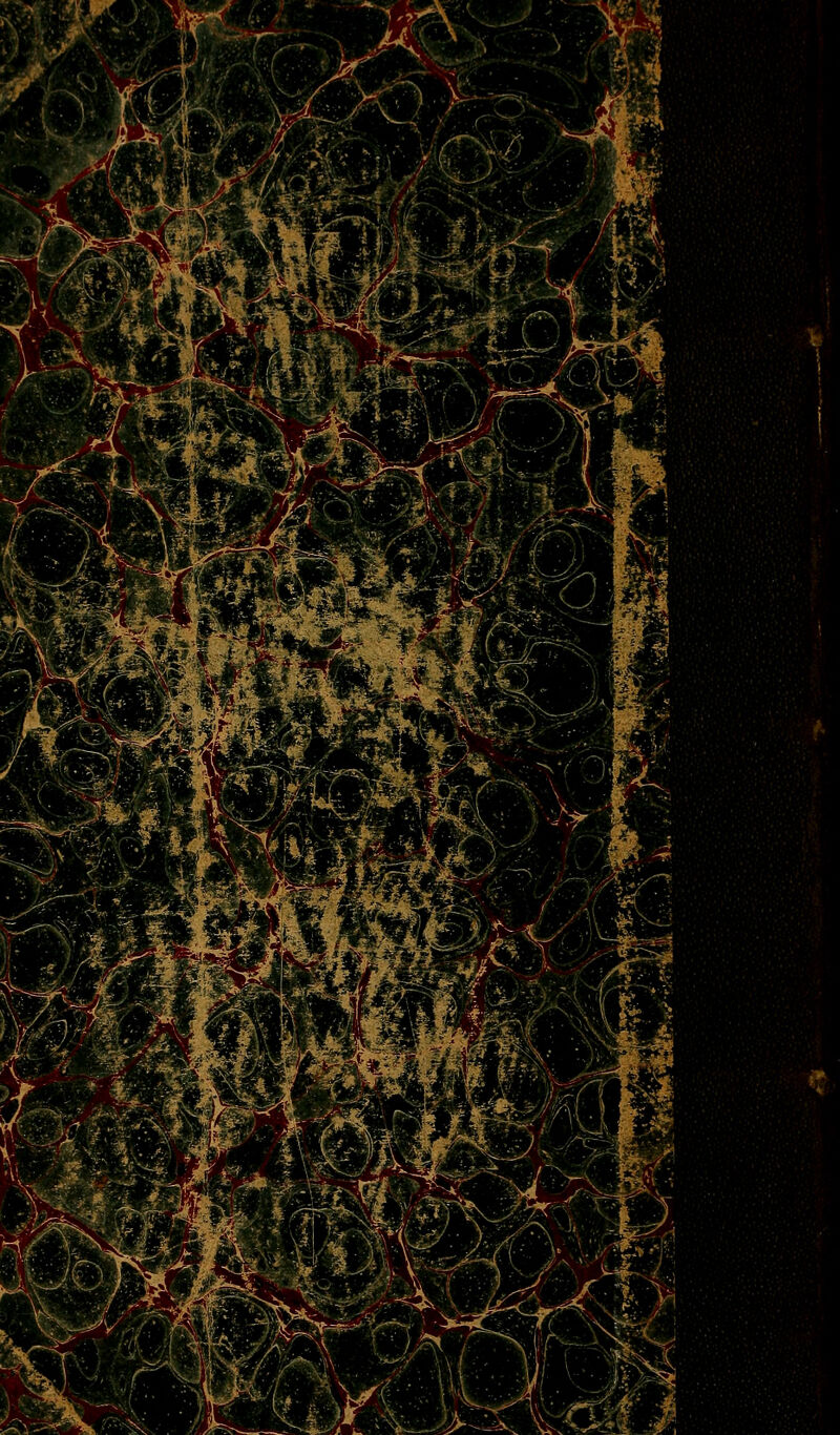 •^J-., „ m.' ''Xh- ■ s i ^i ,C^-^J