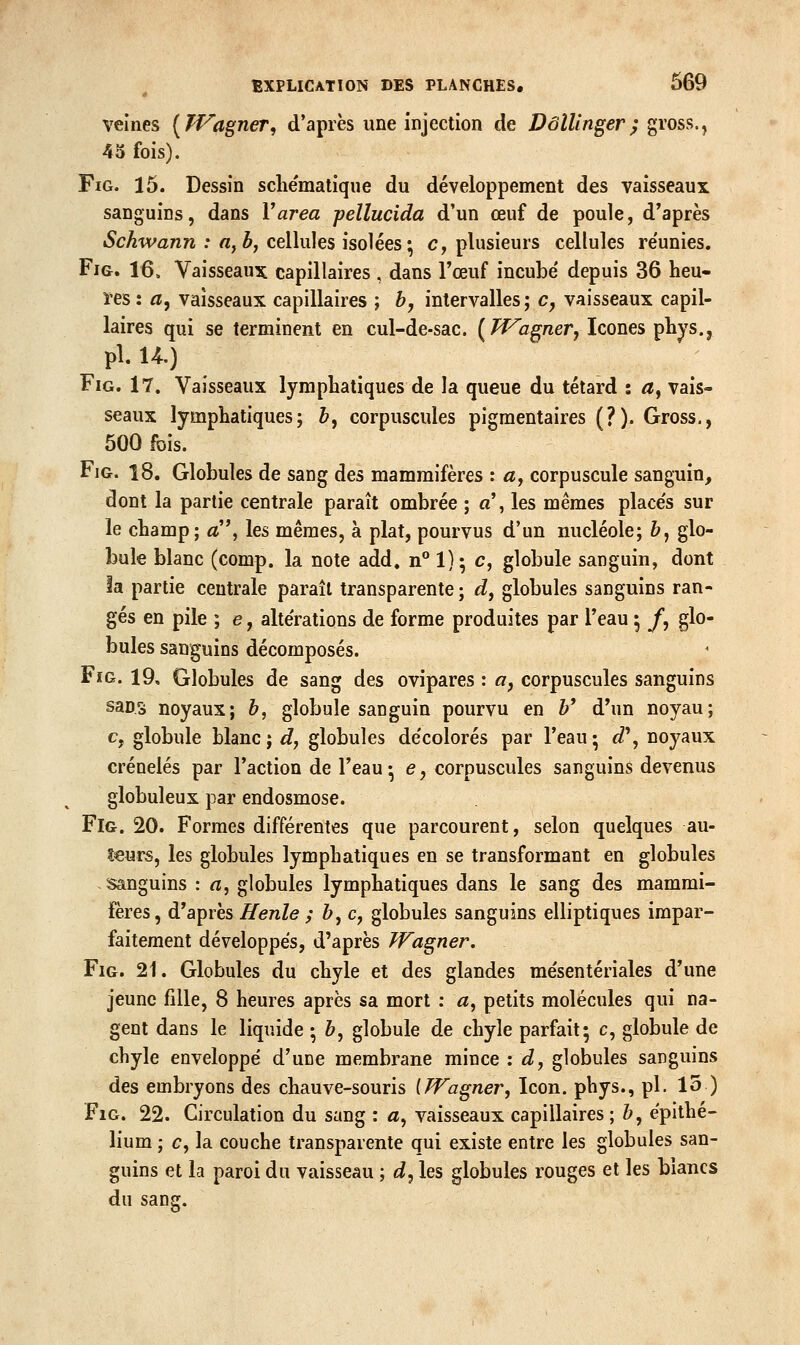 veines [Wagner, d'après une injection de Dôllinger; gross., 43 fois). FiG. 15. Dessin scliëmatique du développement des vaisseaux sanguins, dans Varea pellucida d'un œuf de poule, d'après Schwann : a^bj cellules isolées; c, plusieurs cellules re'unies. FiG. 16. Vaisseaux capillaires , dans l'œuf incube' depuis 36 heu- ïes : a^ vaisseaux capillaires ; b, intervalles; c, vaisseaux capil- laires qui se terminent en cul-de-sac. [Wagner^ Icônes pliys., pi. U.) FiG. 17. Vaisseaux lymphatiques de la queue du têtard î ^, vais- seaux lymphatiques; &, corpuscules pigmentaires (?). Gross., 500 Ibis. FiG. 18. Globules de sang des mammifères : «, corpuscule sanguin, dont la partie centrale paraît ombrée ; a', les mêmes place's sur le champ; a, les mêmes, à plat, pourvus d'un nucléole; &, glo- bule blanc (comp. la note add. n° 1); c, globule sanguin, dont la partie centrale paraît transparente ; d^ globules sanguins ran- gés en pile ; e, alte'rations de forme produites par l'eau ; /, glo- bules sanguins décomposés. FiG. 19, Globules de sang des ovipares : o, corpuscules sanguins sans noyaux; b, globule sanguin pourvu en &' d'un noyau; c, globule blanc; d, globules de'colorés par l'eau; d\ noyaux crénelés par l'action de l'eau; e, corpuscules sanguins devenus globuleux par endosmose. FiG. 20. Formes différentes que parcourent, selon quelques au- îeurs, les globules lymphatiques en se transformant en globules sanguins : a, globules lymphatiques dans le sang des mammi- fères, d'après Henle ; &, c, globules sanguins elliptiques impar- faitement développes, d'après JVagner. FiG. 21. Globules du chyle et des glandes me'sentériales d'une jeune fille, 8 heures après sa mort : «, petits molécules qui na- gent dans le liquide ; ô, globule de chyle parfait; c, globule de chyle enveloppé d'une membrane mince : d, globules sanguins des embryons des chauve-souris [Wagner, Icon. phys., pi. 15 ) FiG. 22. Circulation du sang : «, vaisseaux capillaires ; Z>, épithe- lium ; c, la couche transparente qui existe entre les globules san- guins et la paroi du vaisseau ; d^ les globules rouges et les blancs du sang.