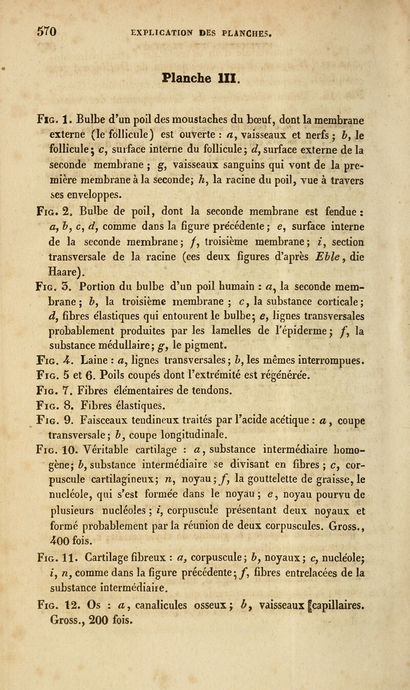Planche III. FiG. 1. Bulbe d'un poil des moustaches du bœuf, dont la membrane externe (le follicule) est ouverte : /i, vaisseaux et nerfs j &, le follicule ; c, surface interne du follicule ; d^ surface externe de la seconde membrane ; §■, vaisseaux sanguins qui vont de la pre- mière membrane à la seconde; h, la racine du poil, vue à travers ses enveloppes. FiG. 2. Bulbe de poil, dont la seconde membrane est fendue : a, h, c, dj comme dans la figure pre'cédente ; e, surface interne de la seconde membrane; /, troisième membrane; £, section transversale de la racine (ces deux figures d'après Ehle, die Haare). FiG. 5. Portion du bulbe d'un poil humain : «, la seconde mem- brane ; h, la troisième membrane; c, la substance corticale; d, fibres e'iastiques qui entourent le bulbe; e, lignes transversales probablement produites par les lamelles de l'épi derme j /, la substance médullaire ; ^, le pigment. FiG. 4. Laine : a, lignes transversales ; &, les mêmes interrompues. FiG. 5 et 6. Poils coupe's dont Textre'mité est rége'nére'e. FiG. 7. Fibres élémentaires de tendons. FiG. 8. Fibres élastiques. FiG. 9. Faisceaux tendineux traités par Tacide ace'tique : a, coupe transversale; h, coupe longitudinale. FiG. 10. Véritable cartilage : a, substance intermédiaire homo- gène; &, substance intermédiaire se divisant en fibres; c, cor- puscule cartilagineux; tz, noyau;/, la gouttelette de graisse, le nucléole, qui s'est forme'e dans le noyau; e, noyau pourvu de plusieurs nucléoles ; i, corpuscule présentant deux noyaux et formé probablement parla réunion de deux corpuscules. Gross., 400 fois. FiG. 11. Cartilage fibreux : a, corpuscule; h, noyaux; c, nucléole; /, n, comme dans la figure précédente;/, fibres entrelacées de la substance intermédiaire. FiG. 12. Os : <î, canalicules osseux; b^ vaisseauxfcapillaires. Gross., 200 fois.