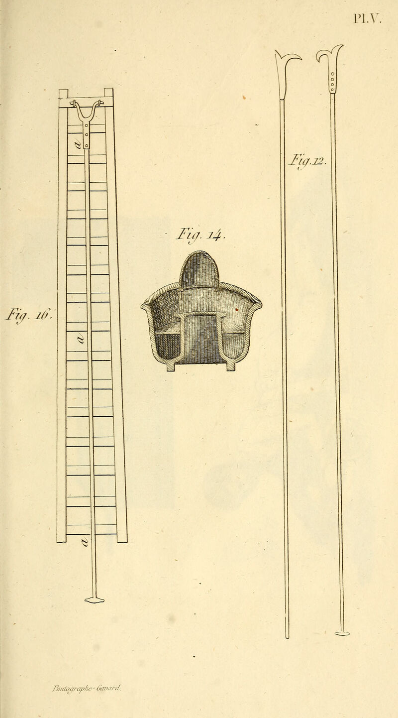 Vl.\ Fïij. Jù. Fzij. 24. i Jl{/.22. FoJitûcjrcTphe- (jovard.